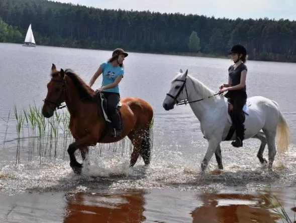 Horseback Riding in Stajnia pod Dębem