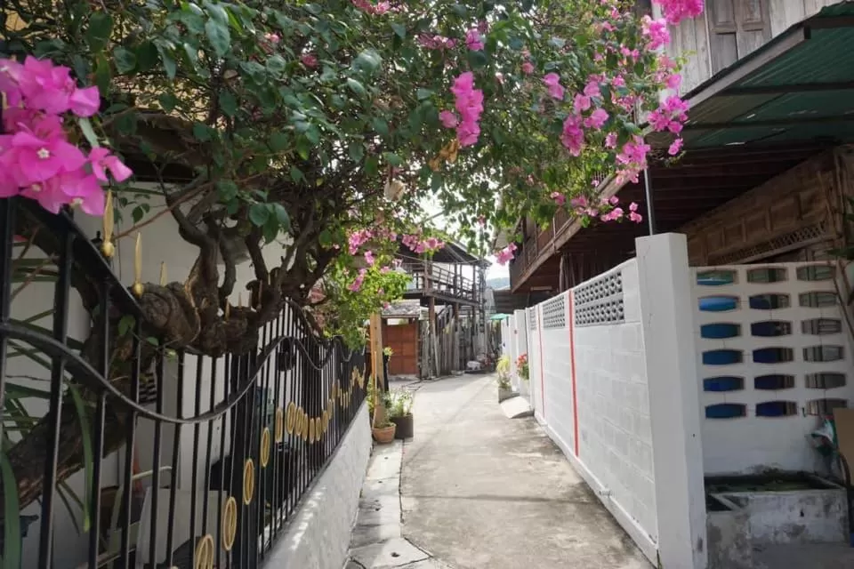 View (from property/room) in MANDARIN LODGE by victor