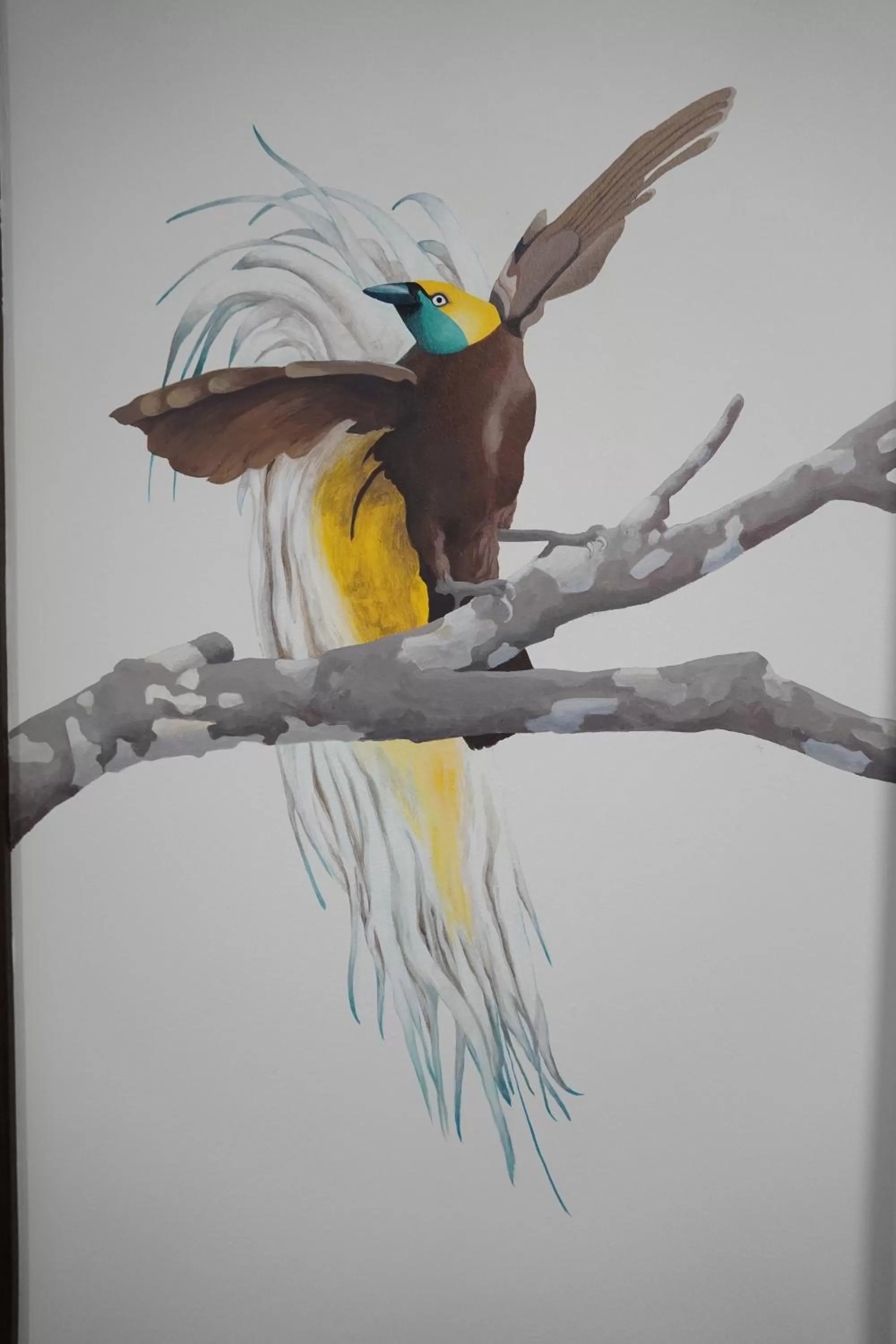 Decorative detail, Other Animals in Cordoba Carpe Diem