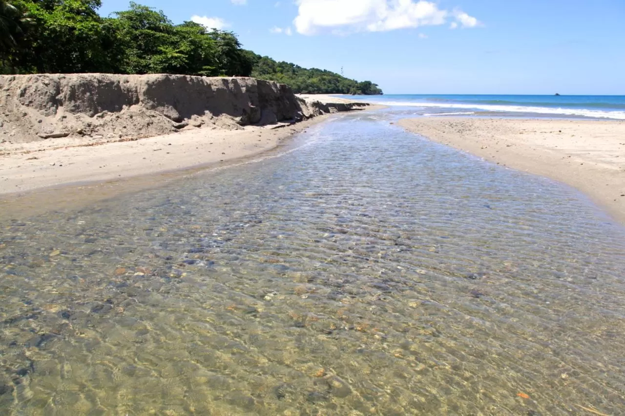 Beach in Acajou Hotel