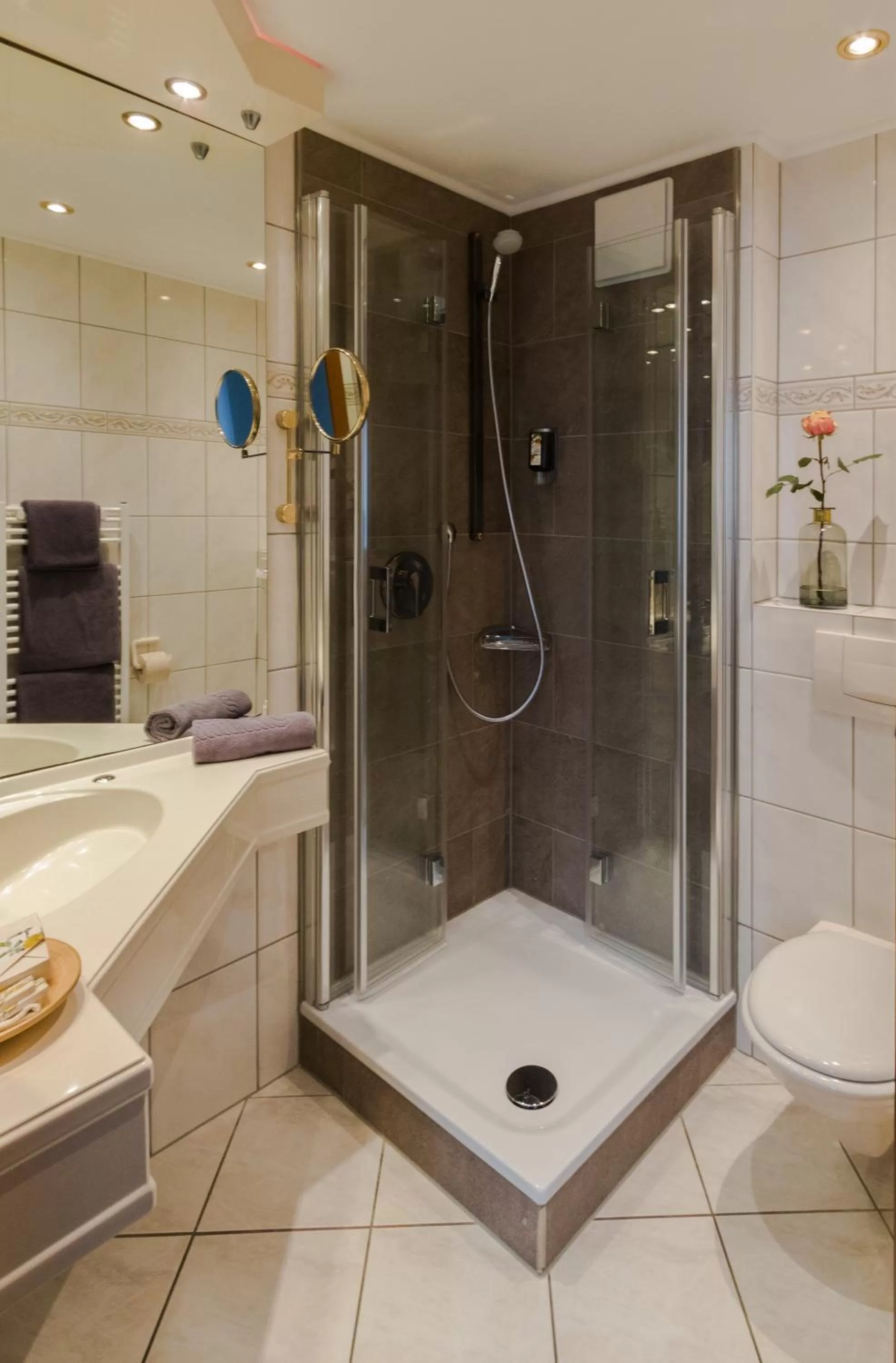 Shower in Hotel Germania