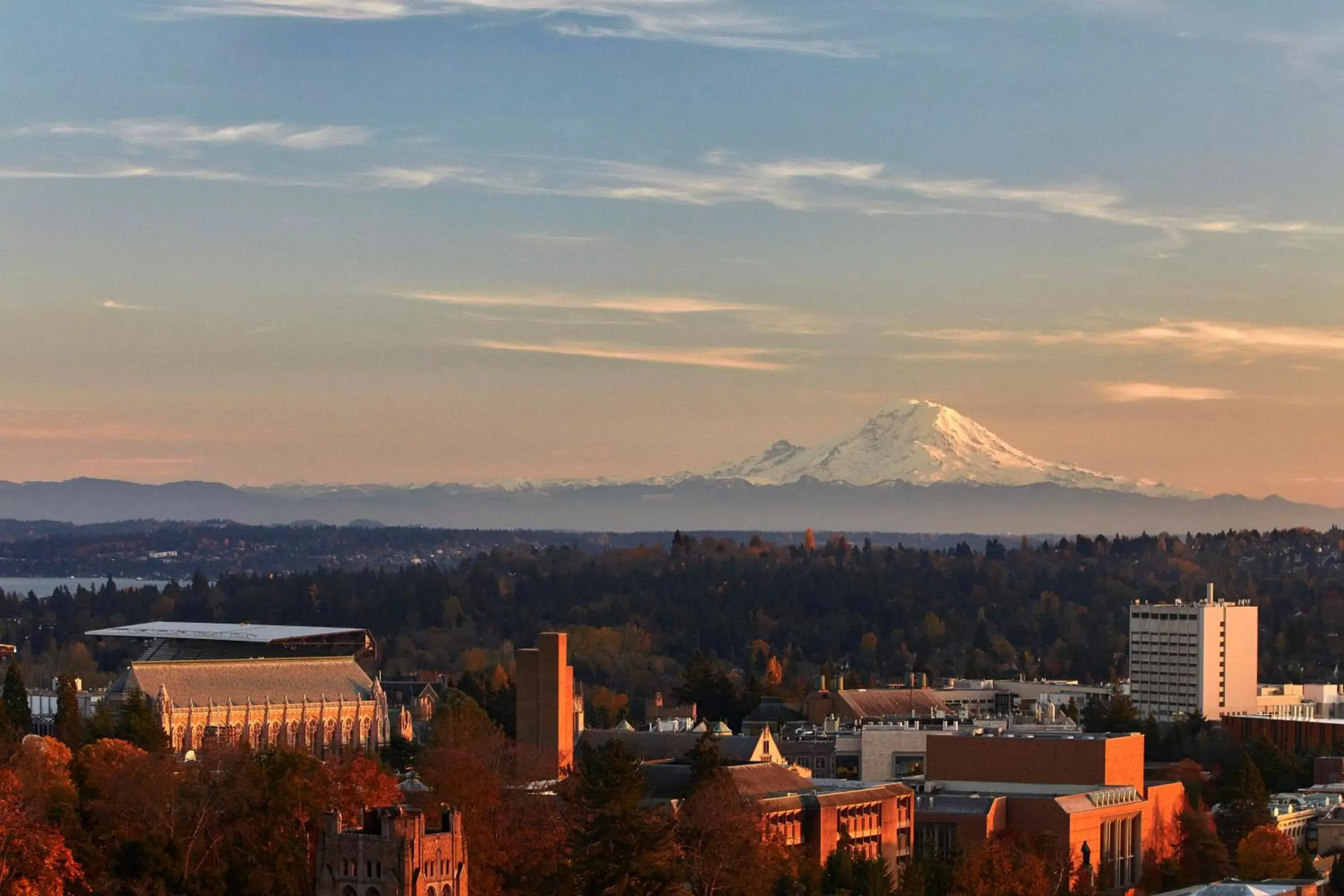 Mountain view in Graduate Seattle