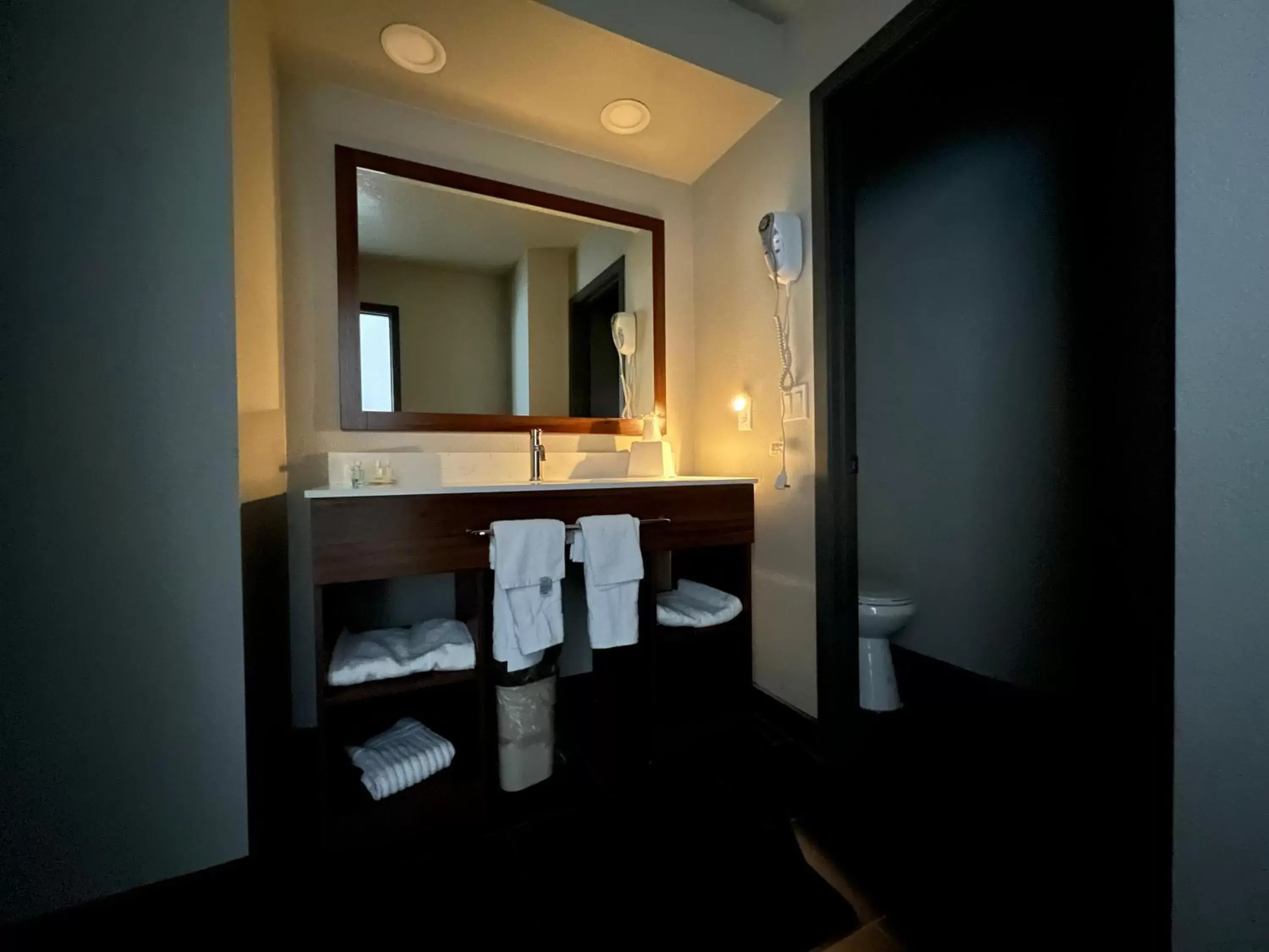 Bathroom in Quality Inn Portland Airport PDX