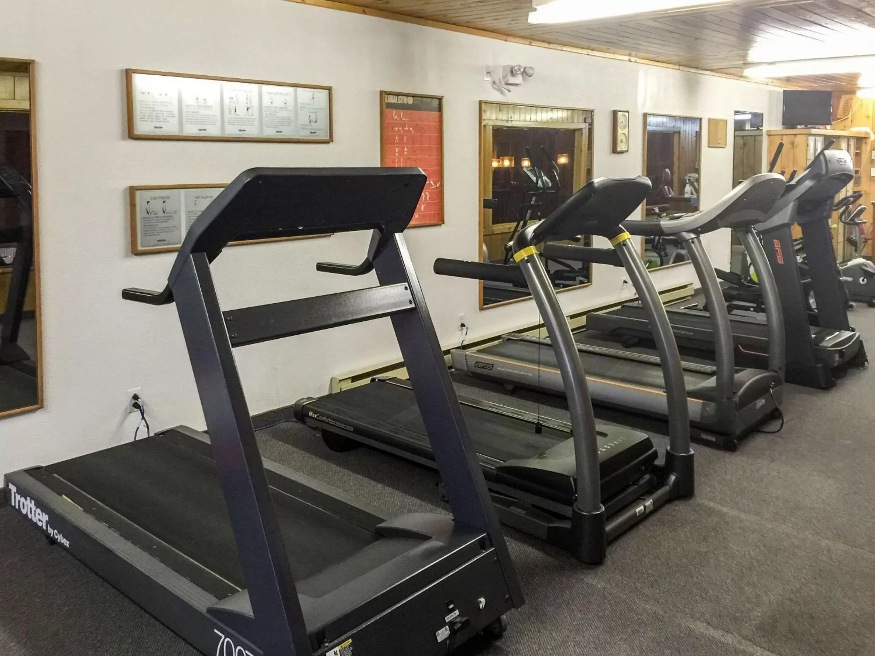 Fitness centre/facilities, Fitness Center/Facilities in Rodeway Inn