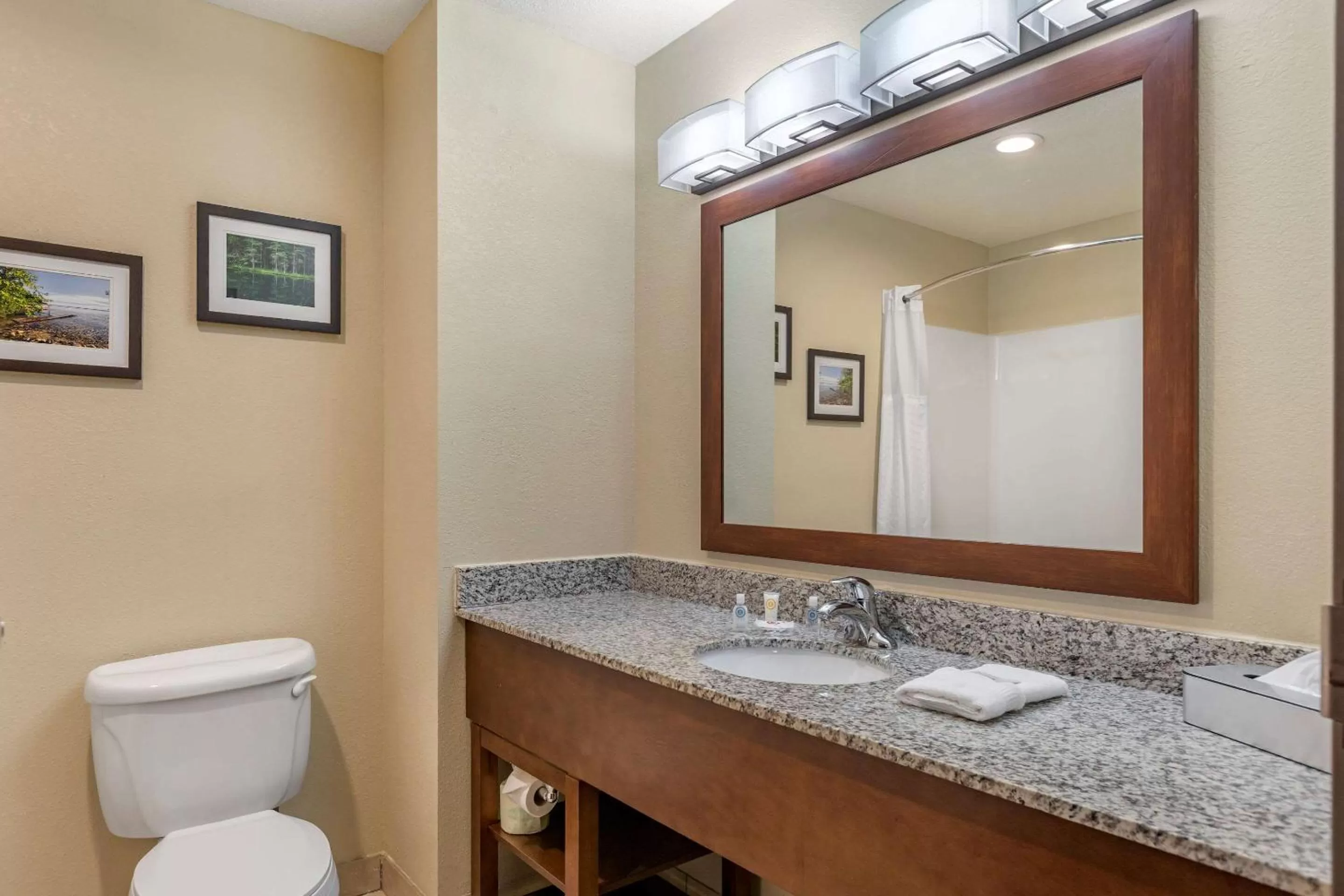 Bathroom in Comfort Suites Grand Rapids North