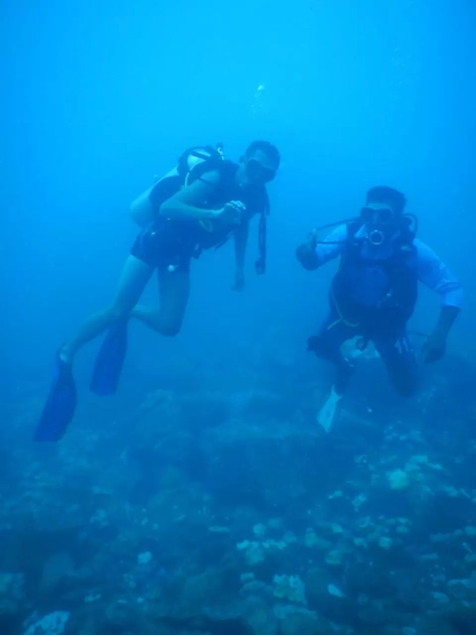 Activities, Snorkeling/Diving in Blackstar Inn