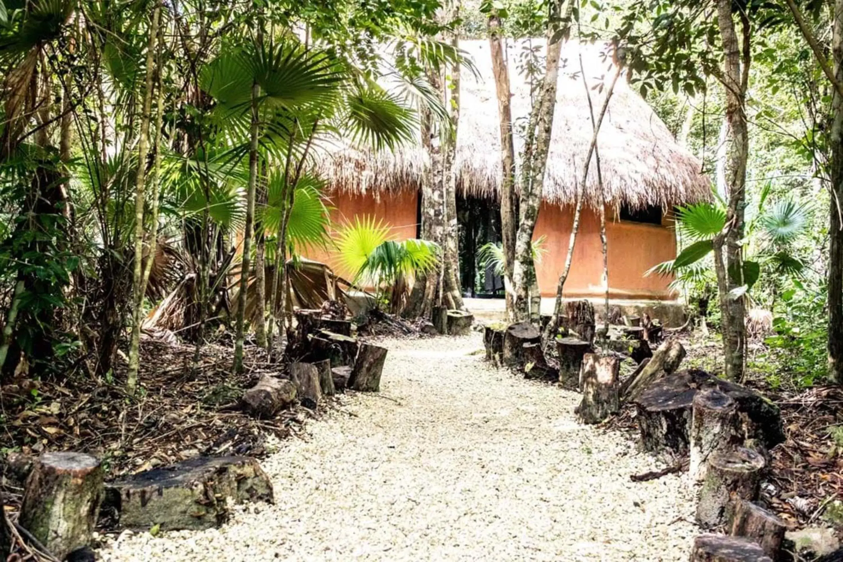 Facade/entrance in Jolie Jungle Eco Hotel