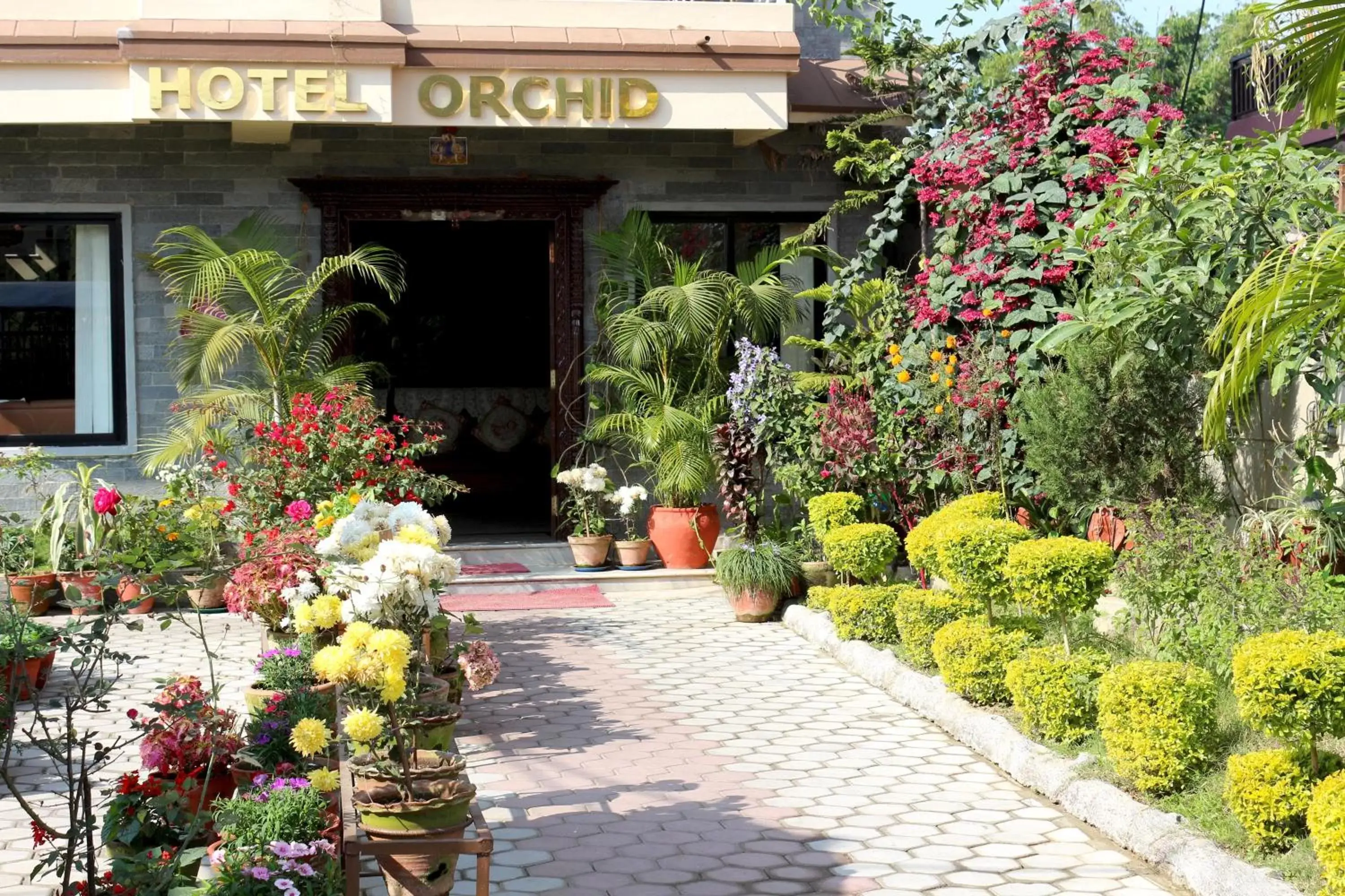 Facade/entrance in Hotel Orchid