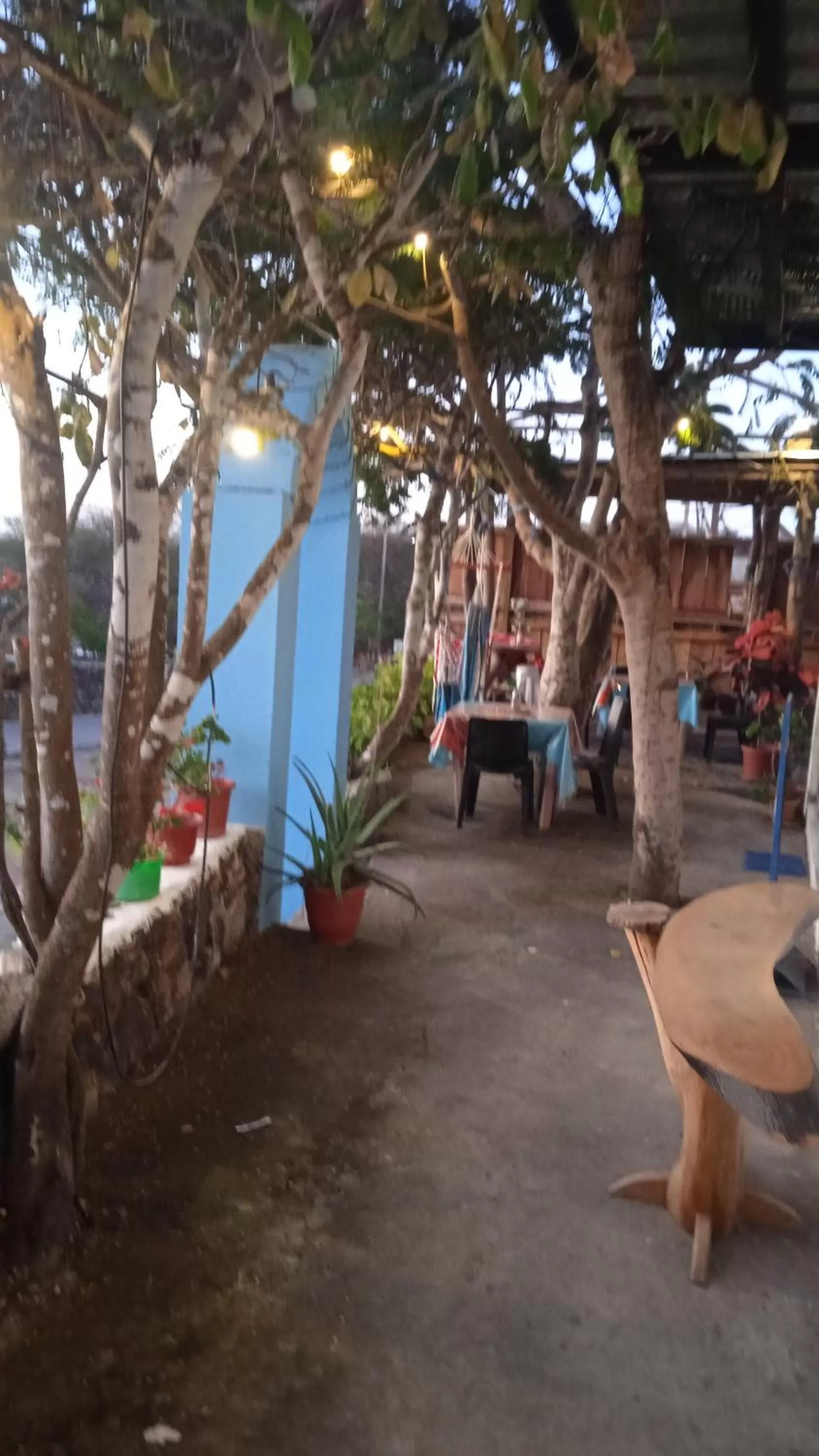 Hostal Cabañas Don Jorge