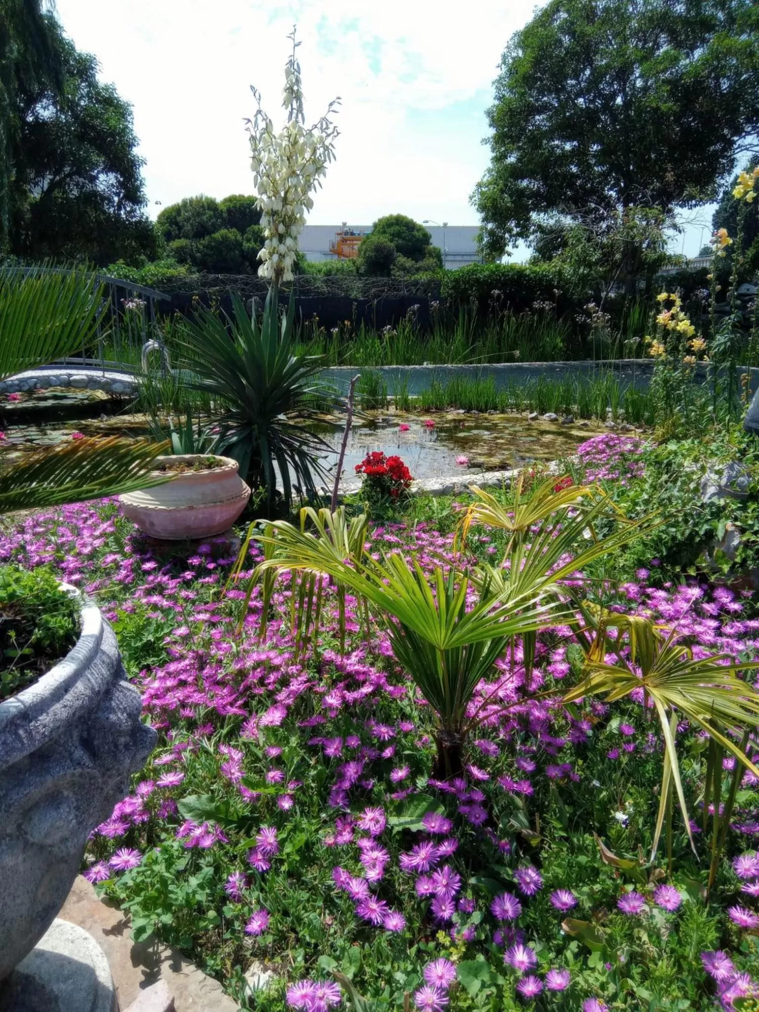 Garden in Villa Fiorita
