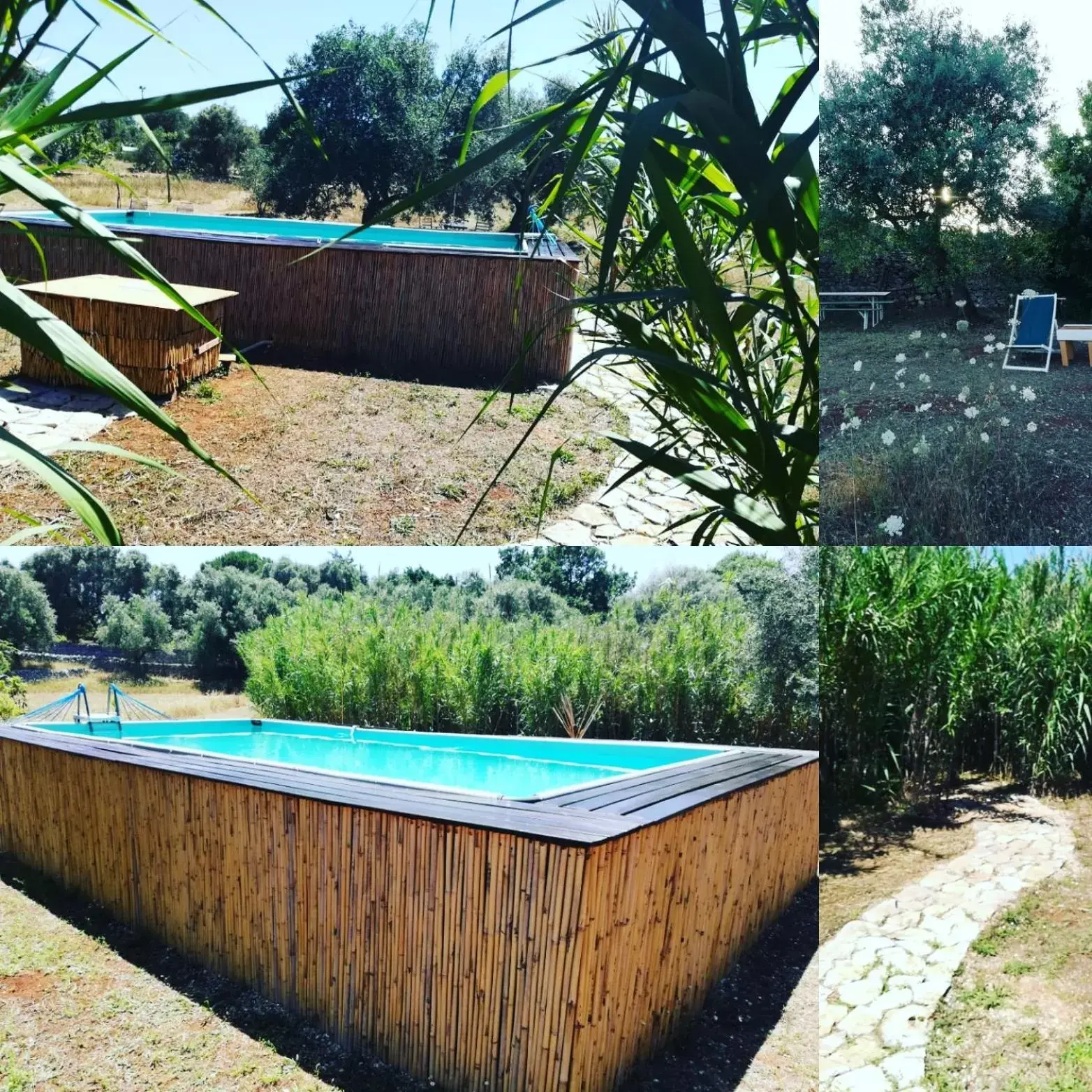 Day, Swimming Pool in B&B Giovannarolla Green House