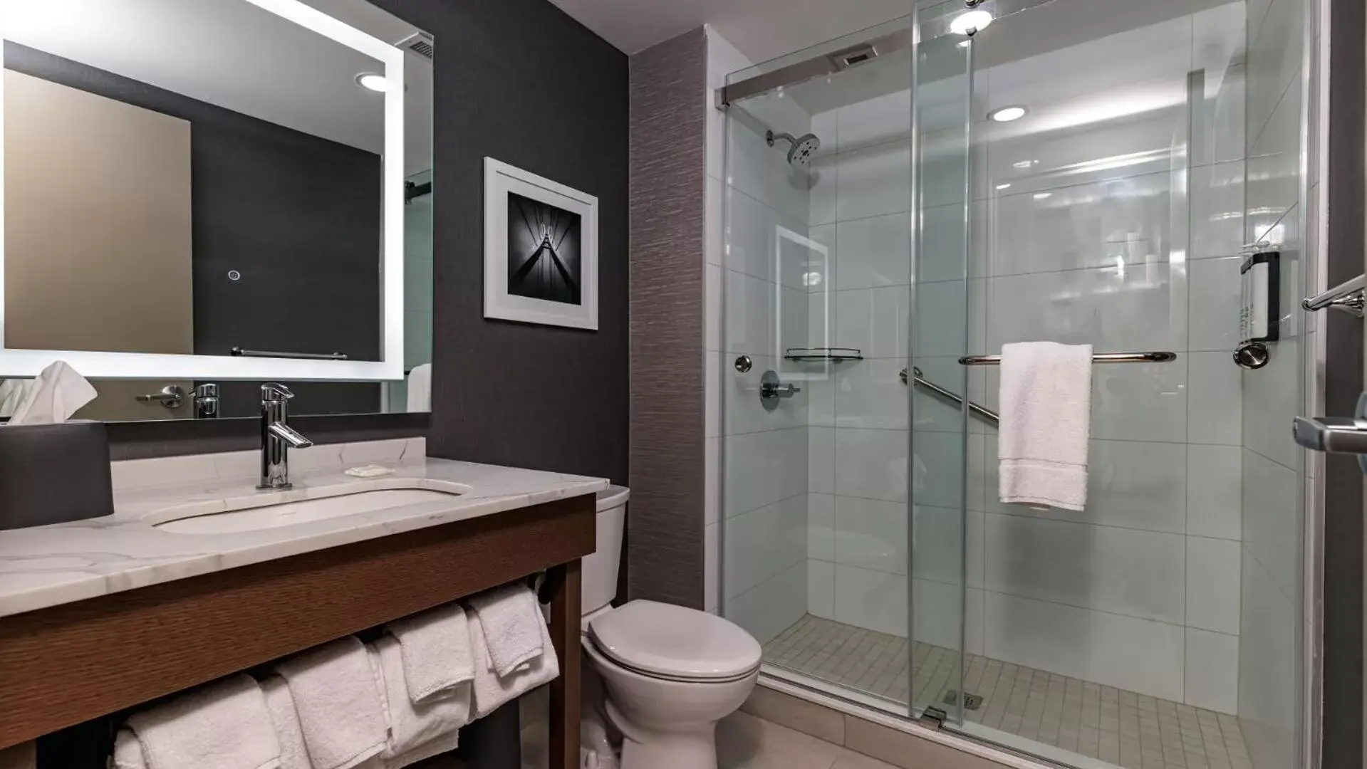 Bathroom in Hyatt Place Toronto-Brampton