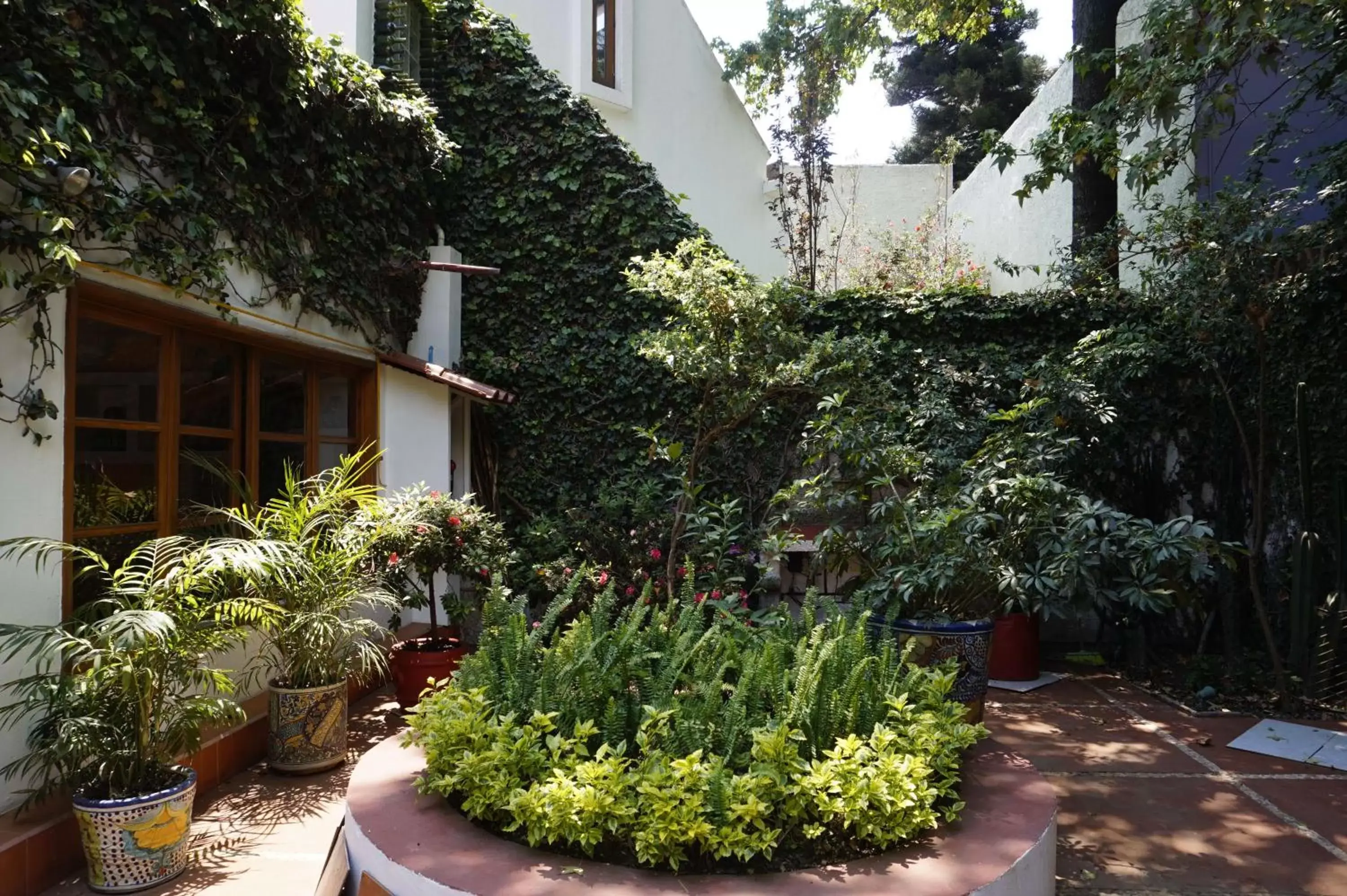 Garden in Casa Jacinta Guest House