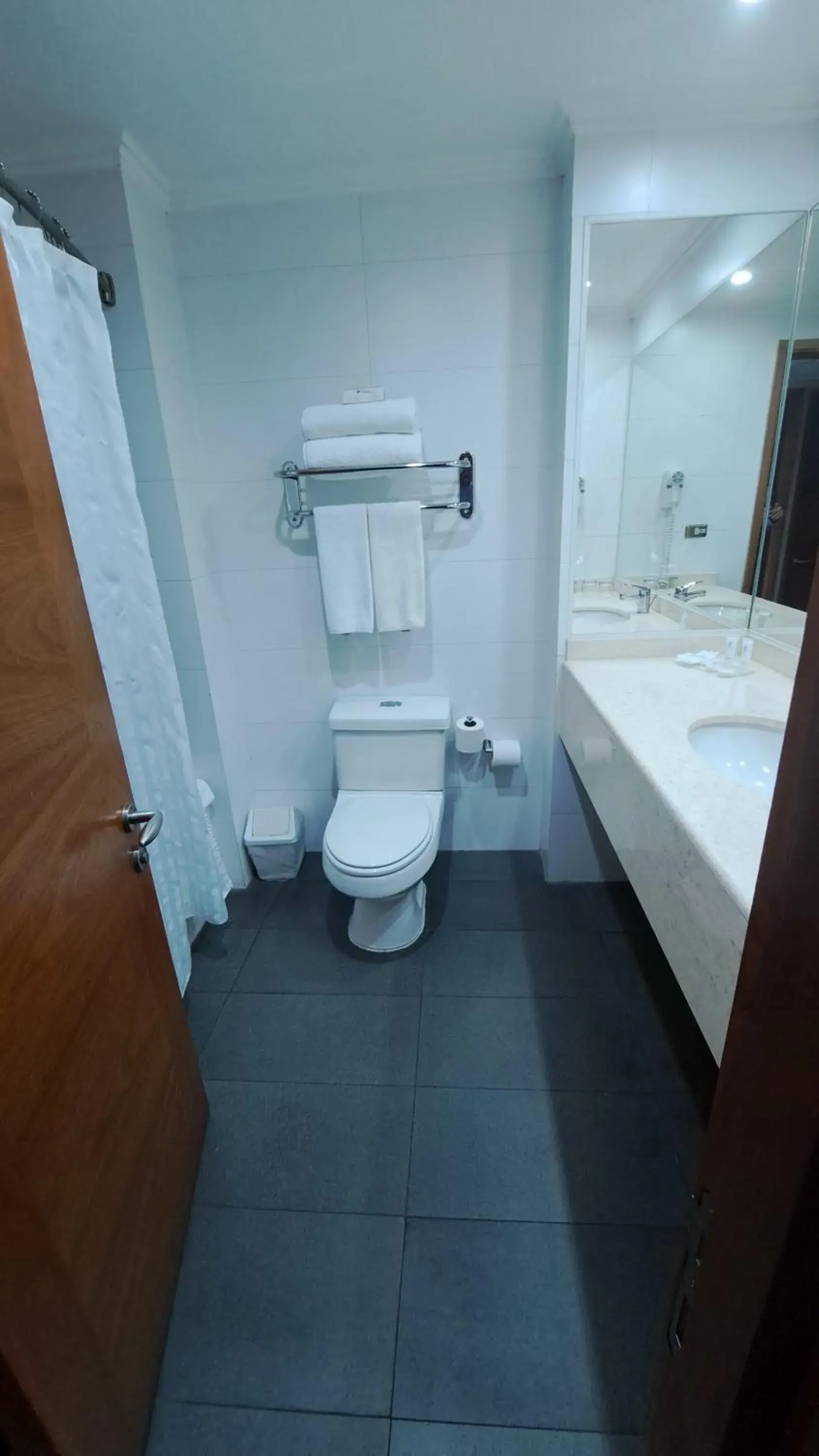 Bathroom in Hotel Diego de Almagro Temuco