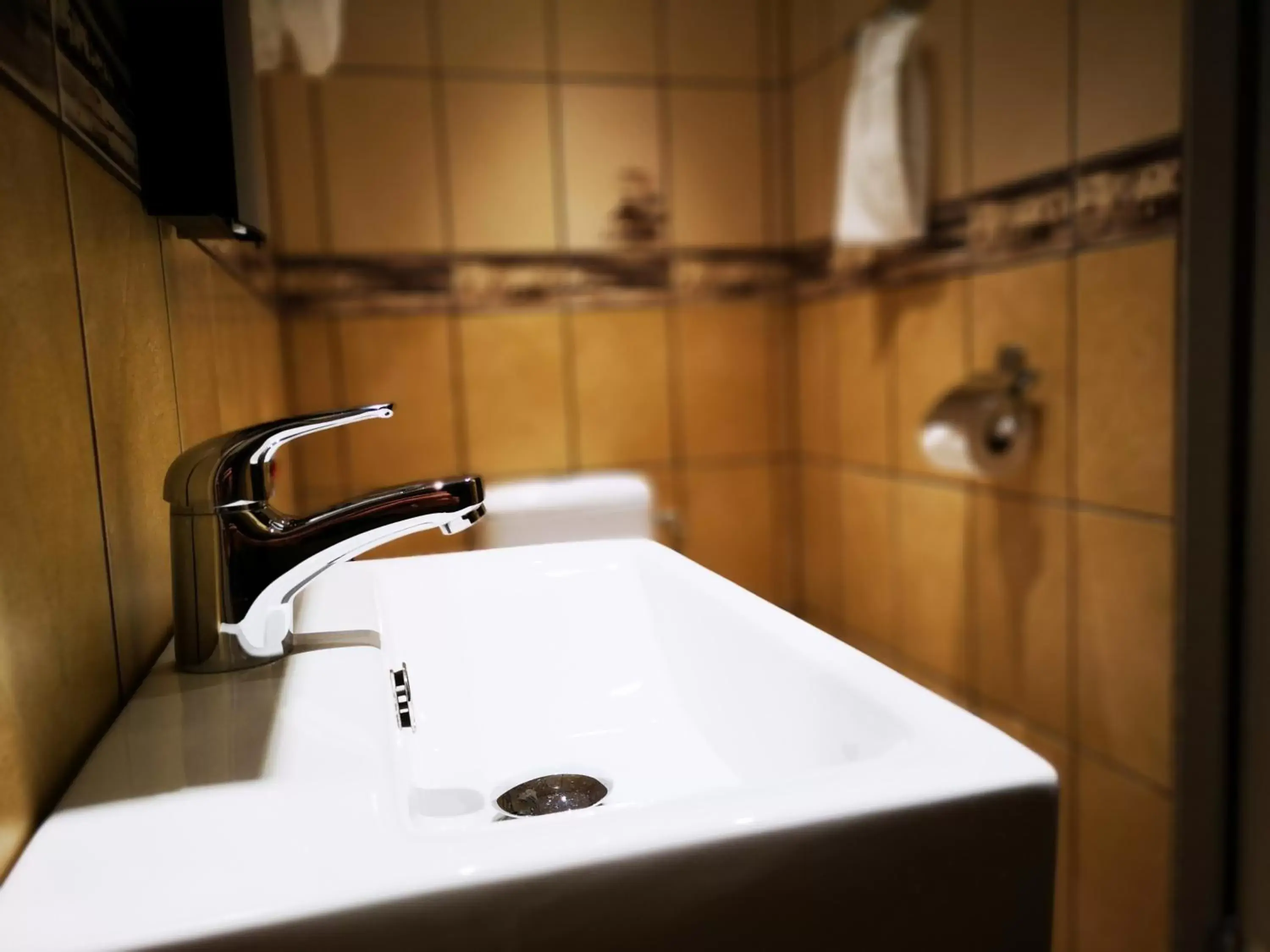 Shower, Bathroom in Best Western Plaza Hotel