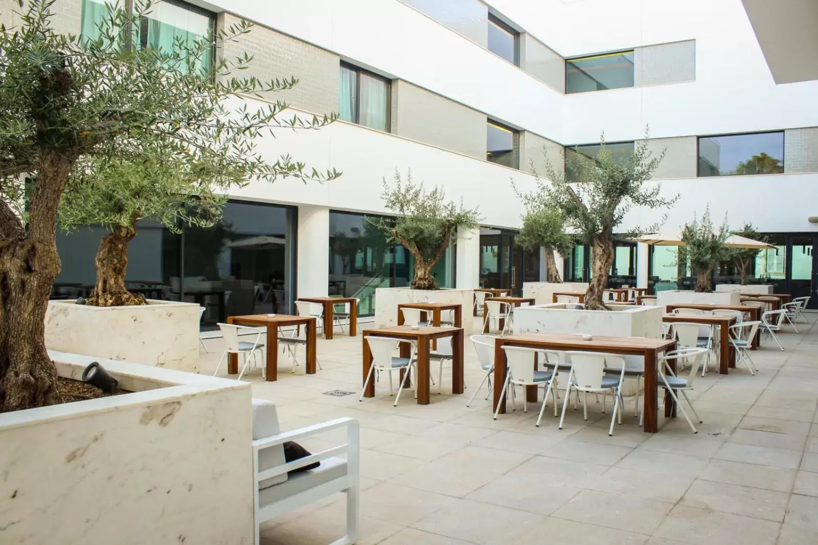 Patio, Restaurant/Places to Eat in Evora Olive Hotel