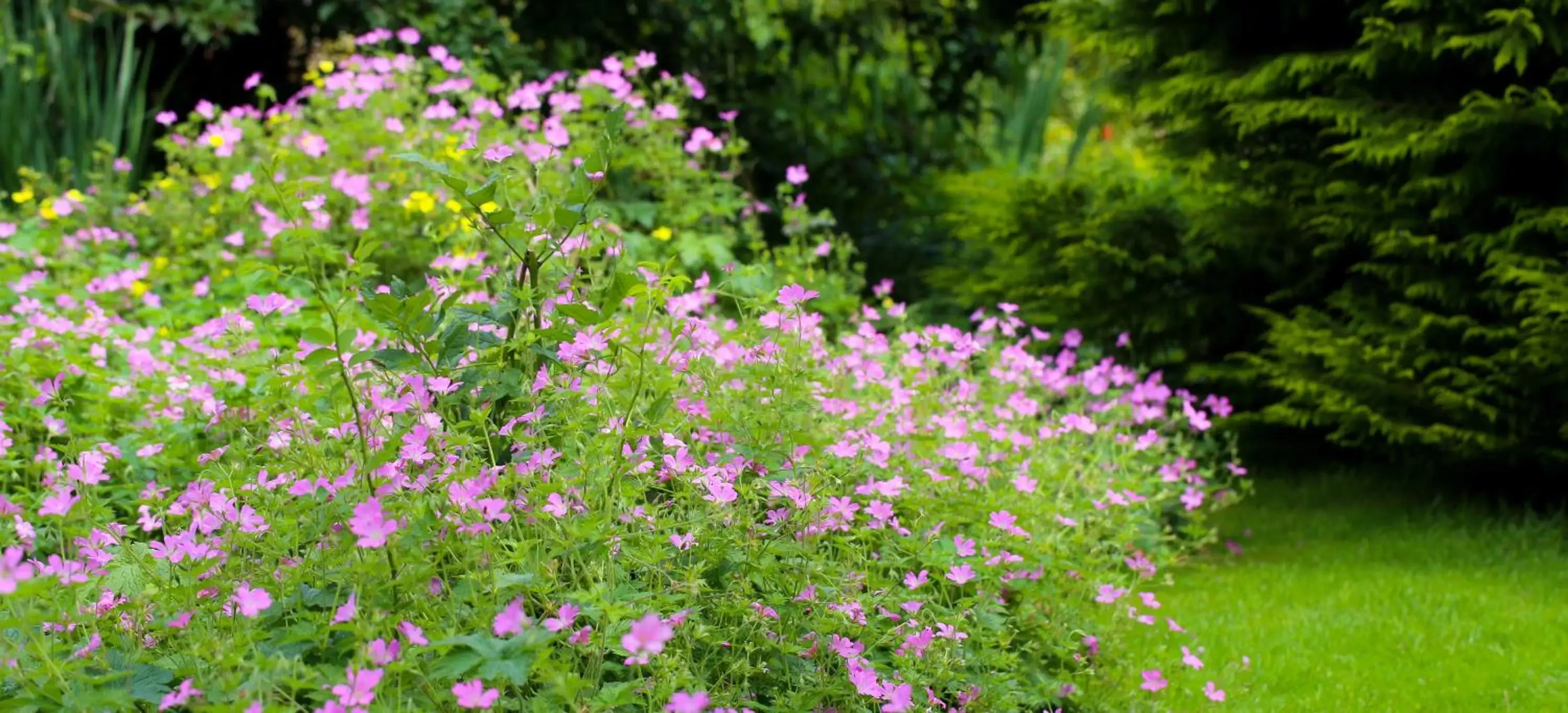 Property building, Garden in Stratton House Hotel & Spa