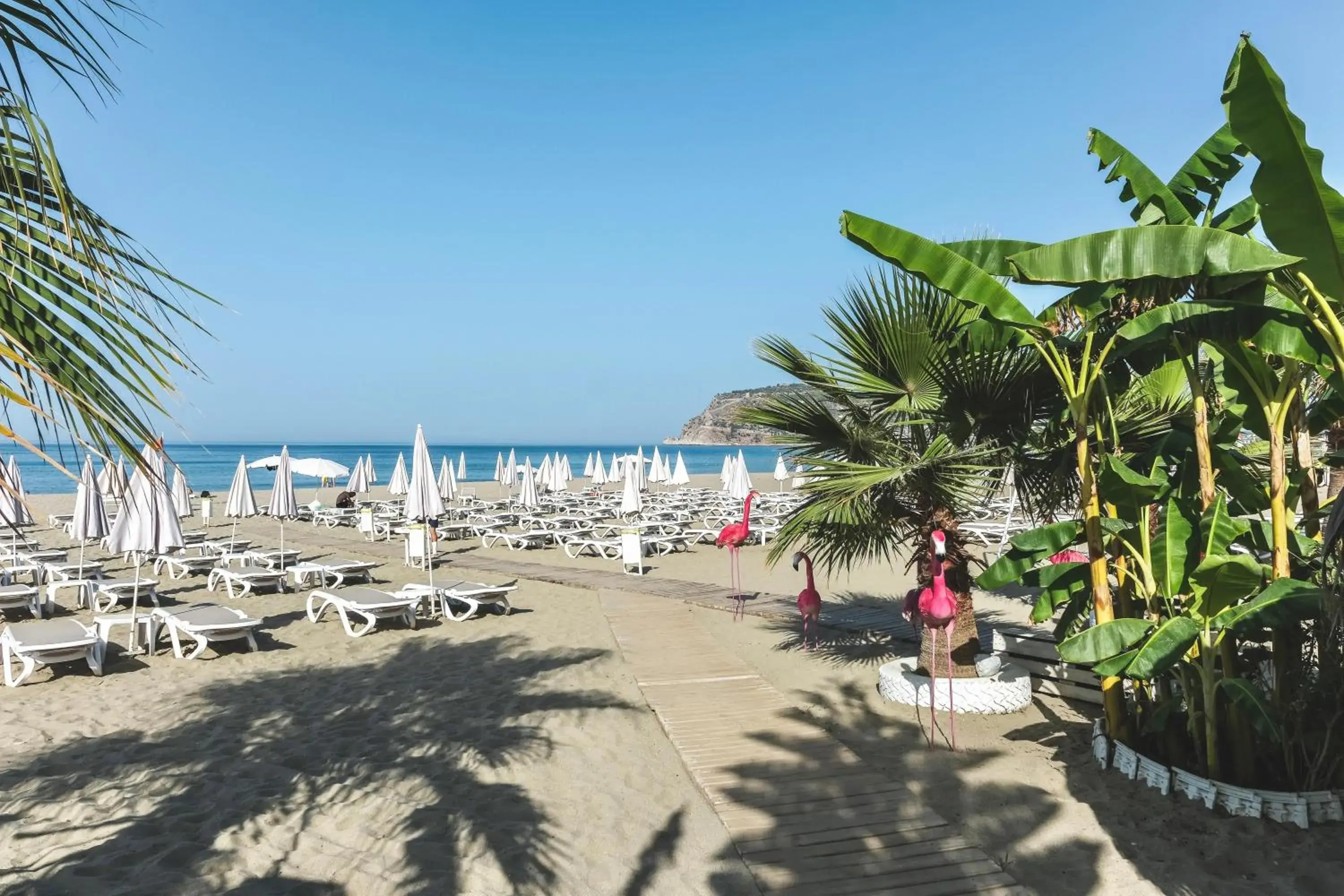 Beach in Blue Wave Suite Hotel