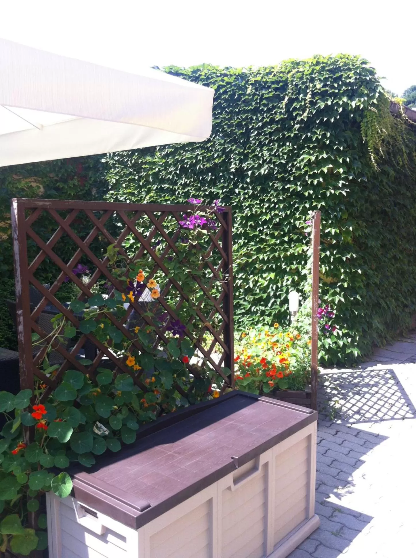 Decorative detail in Pension an der Porzellan-Manufaktur