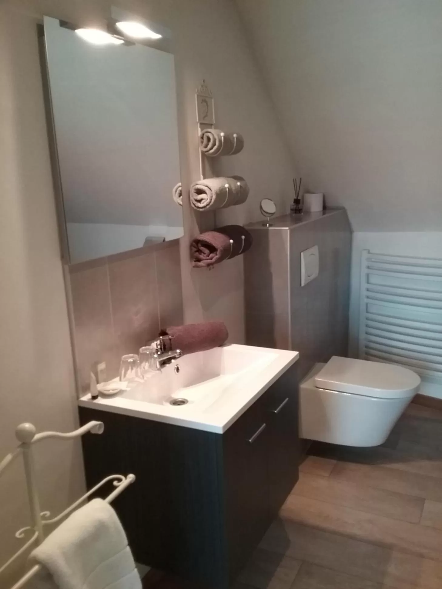 Toilet in B&B 't Hemelbedje