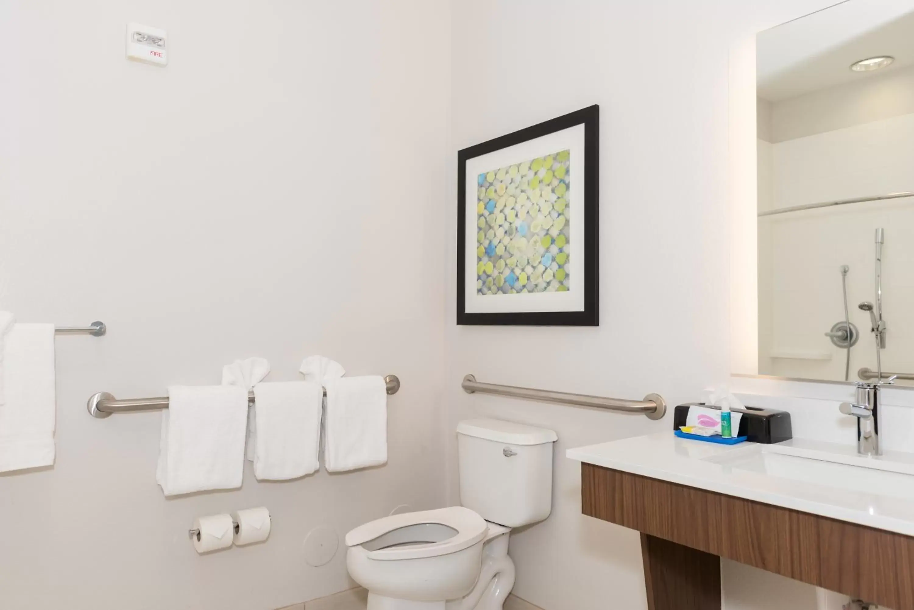 Bathroom in Holiday Inn Express Hotel & Suites Tampa-USF-Busch Gardens, an IHG Hotel
