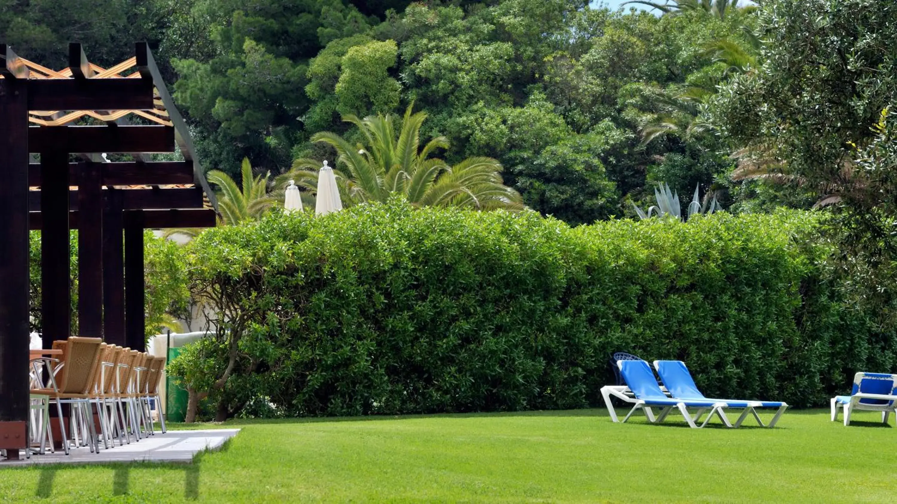 Garden in Pestana Delfim Beach & Golf Hotel