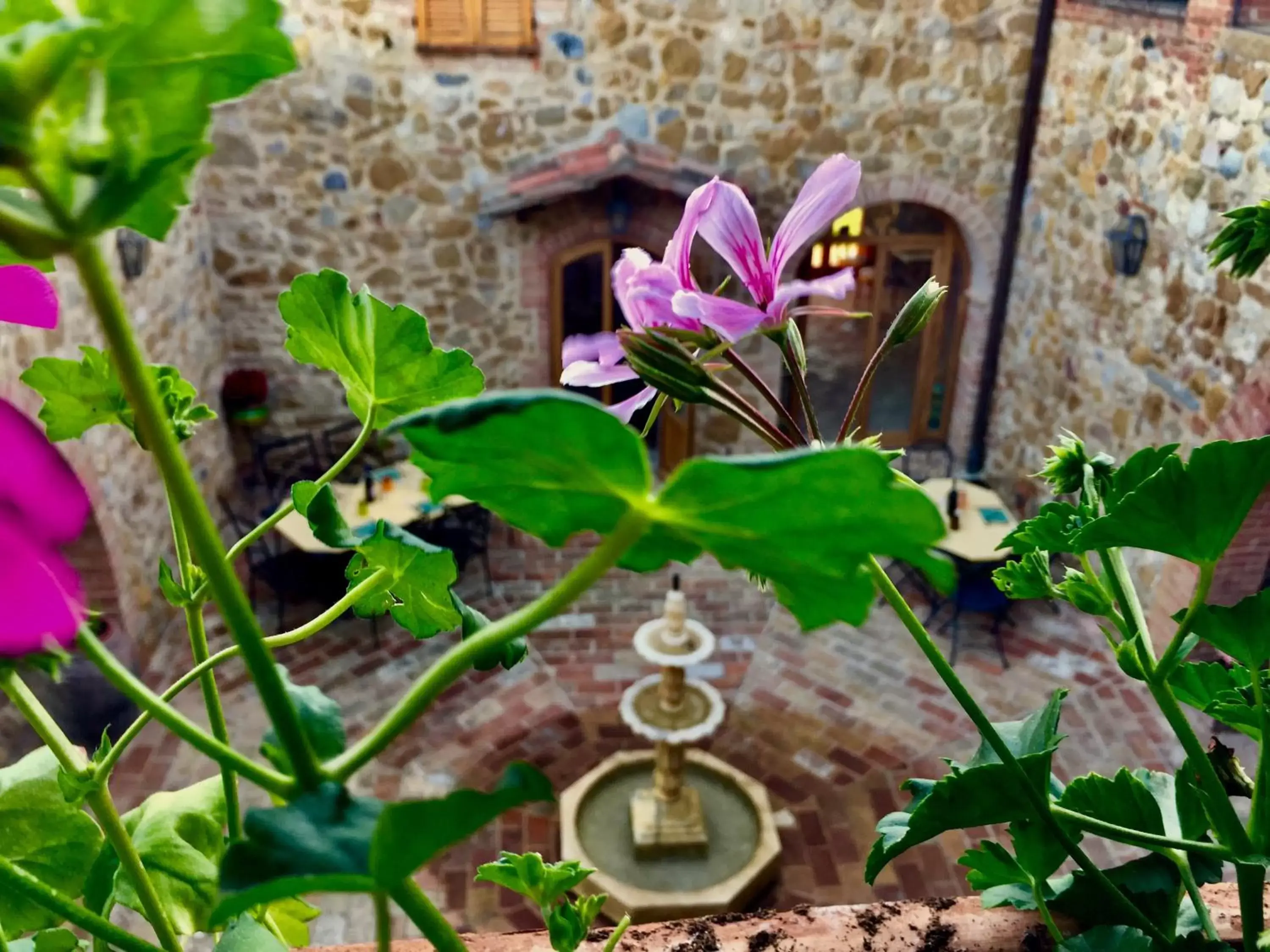 Patio in Locanda Vesuna