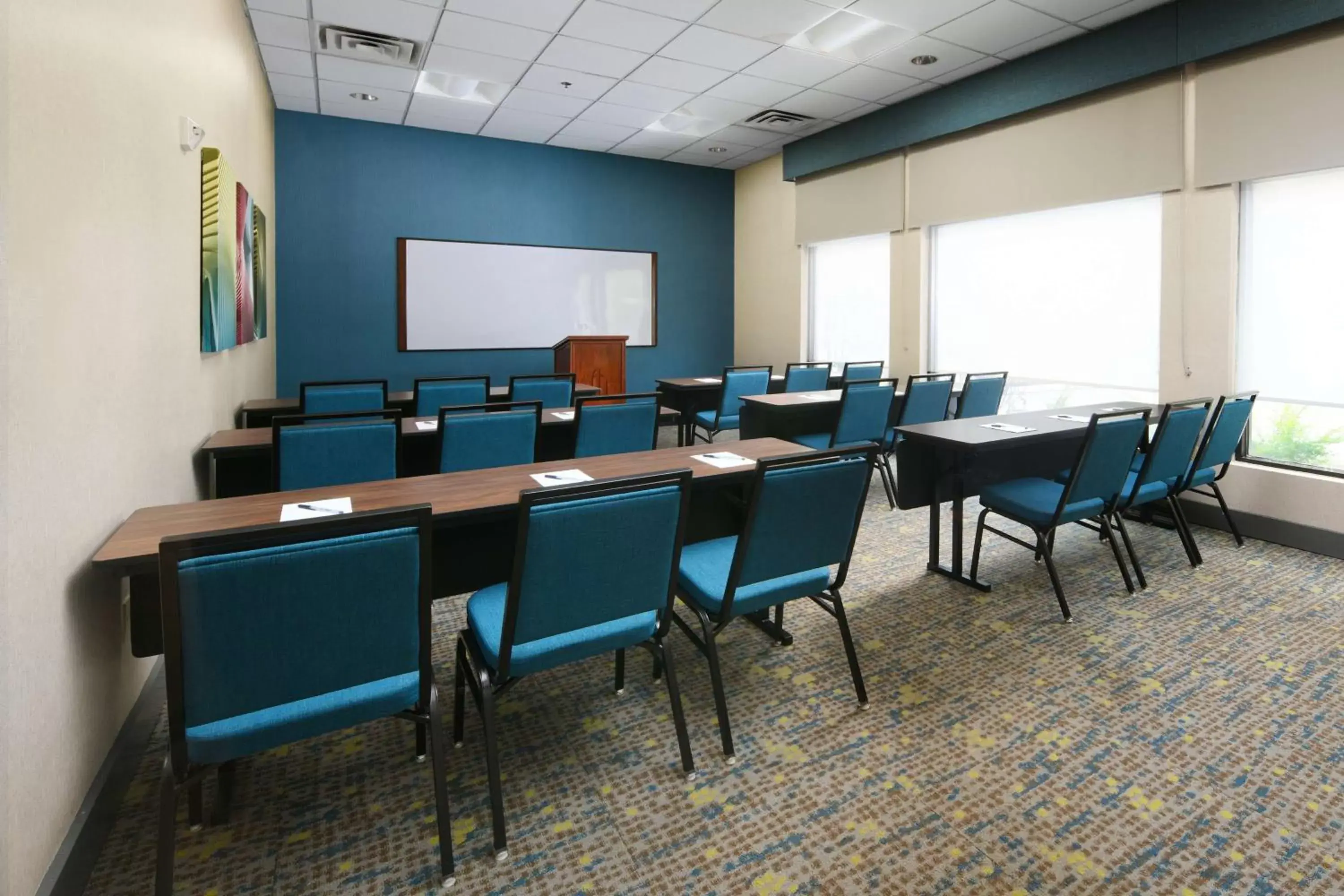 Meeting/conference room in Hampton Inn & Suites Houston-Medical Center-NRG Park