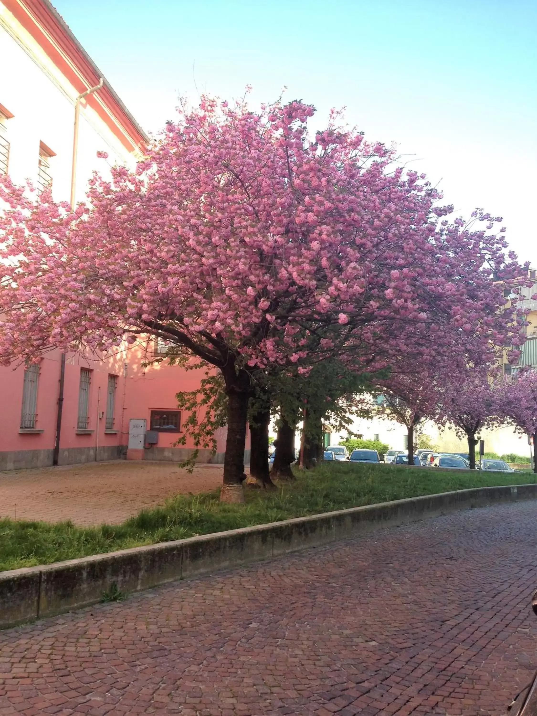 Neighbourhood, Property Building in Casa Agnese