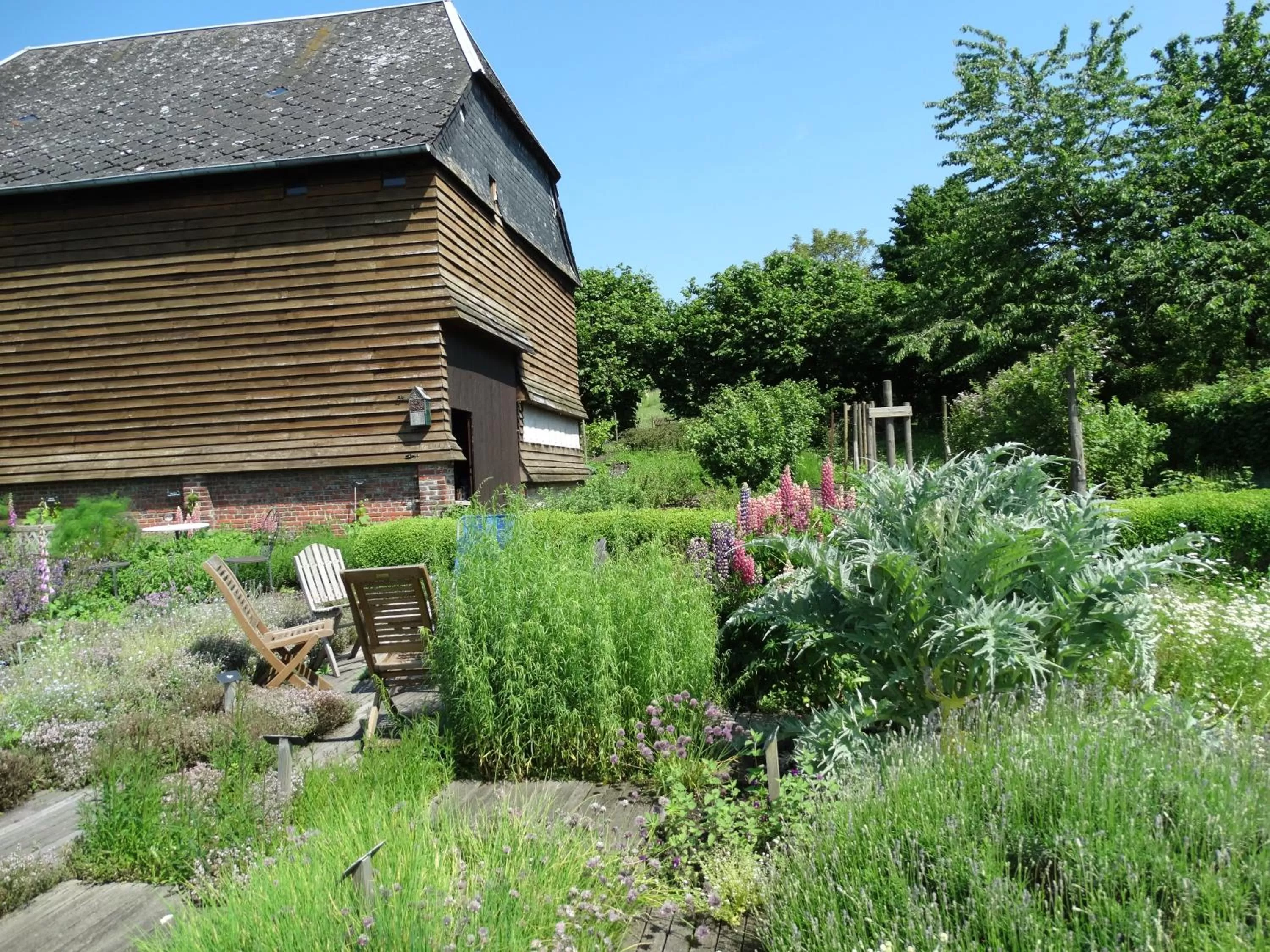 Garden in La Vannerie