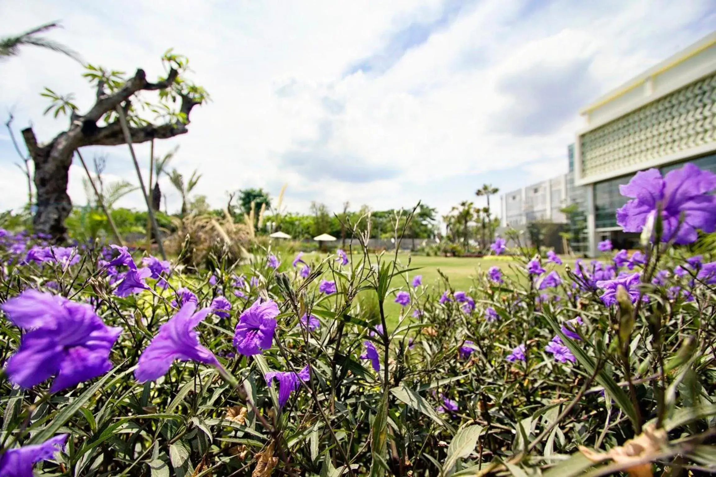 Natural landscape in MaxOneHotels at Resort Makassar