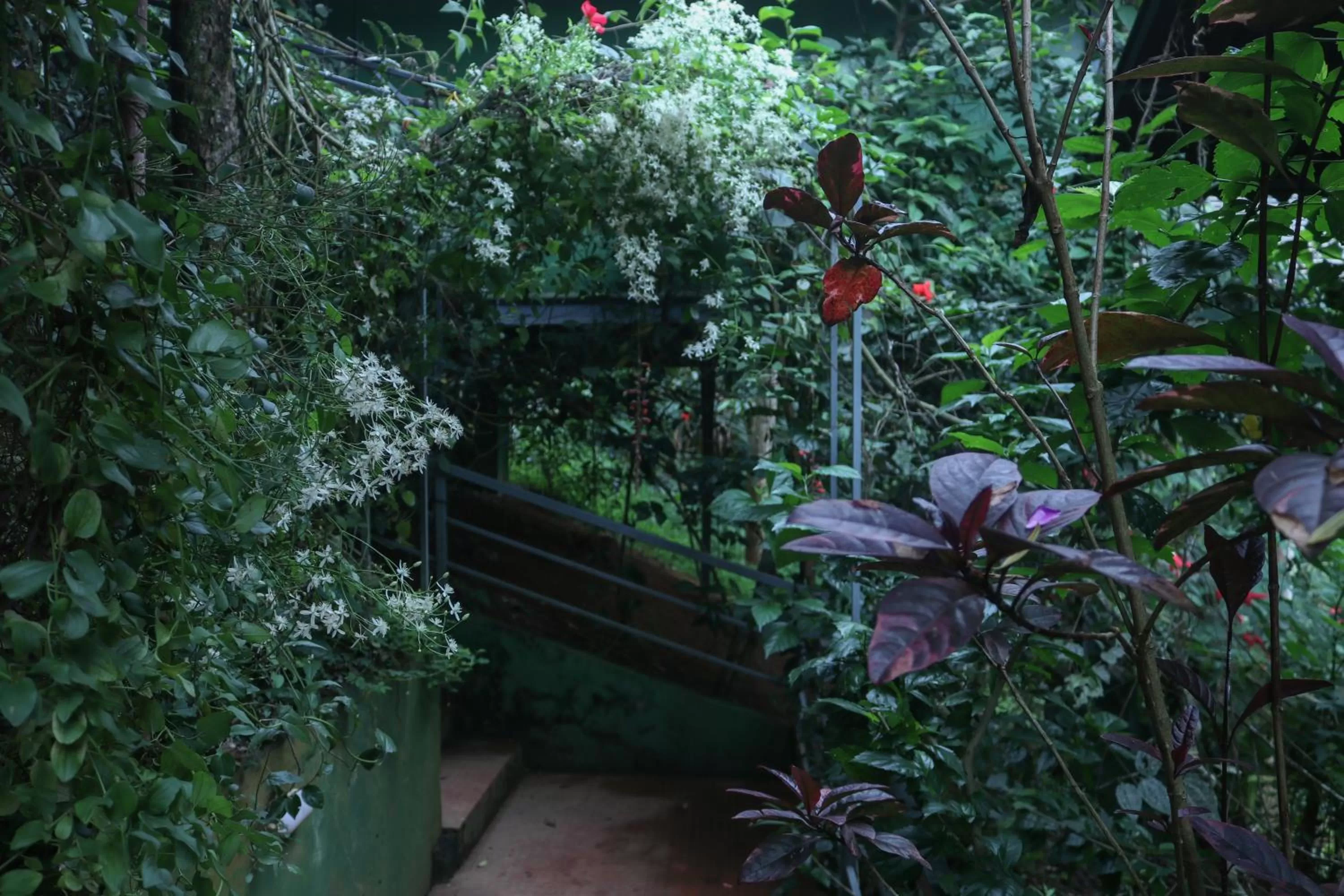 Children play ground in Edens Munnar