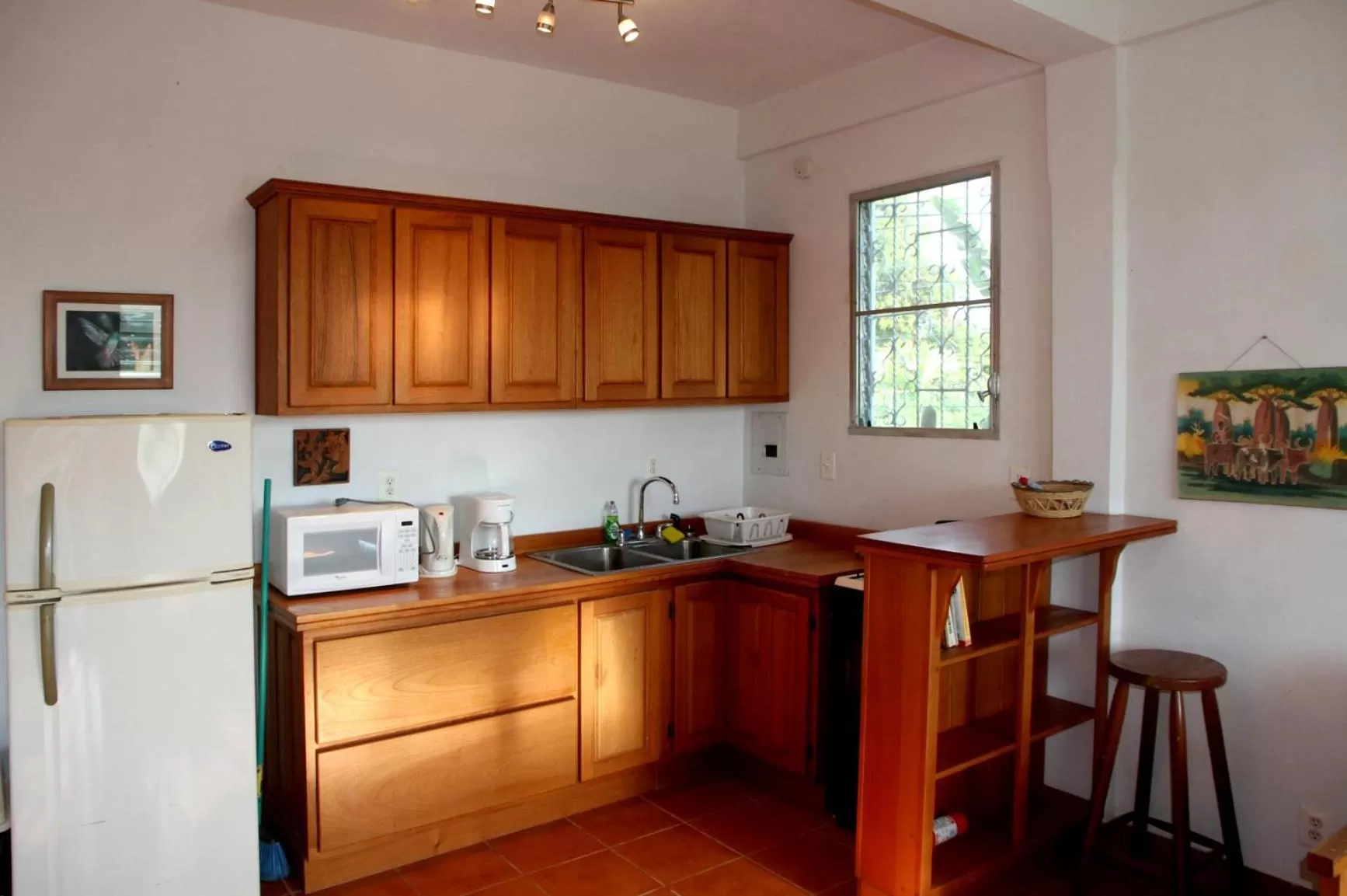 Kitchen or kitchenette in BlueBelize B&B