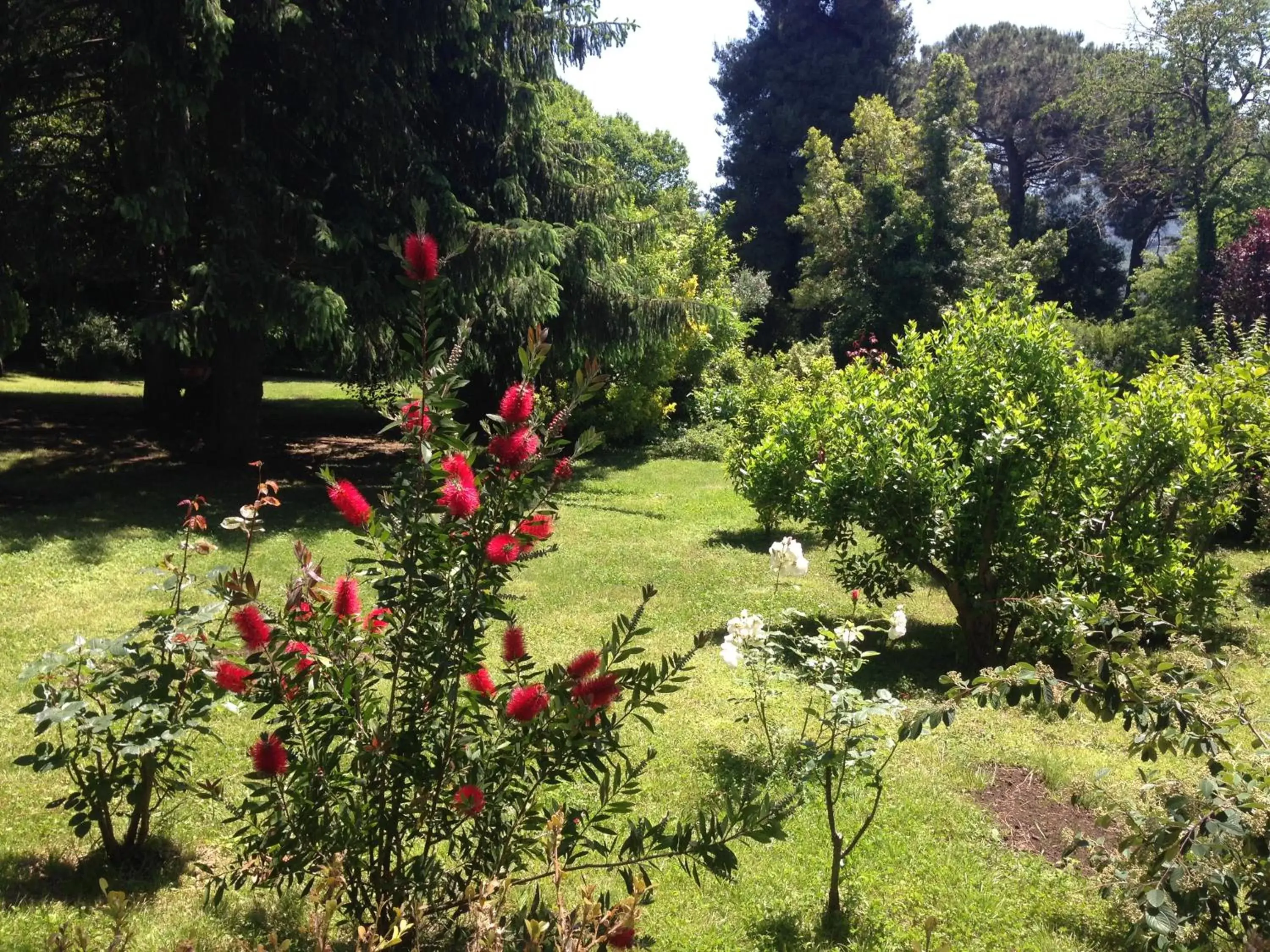 Garden in Villa Abbamer