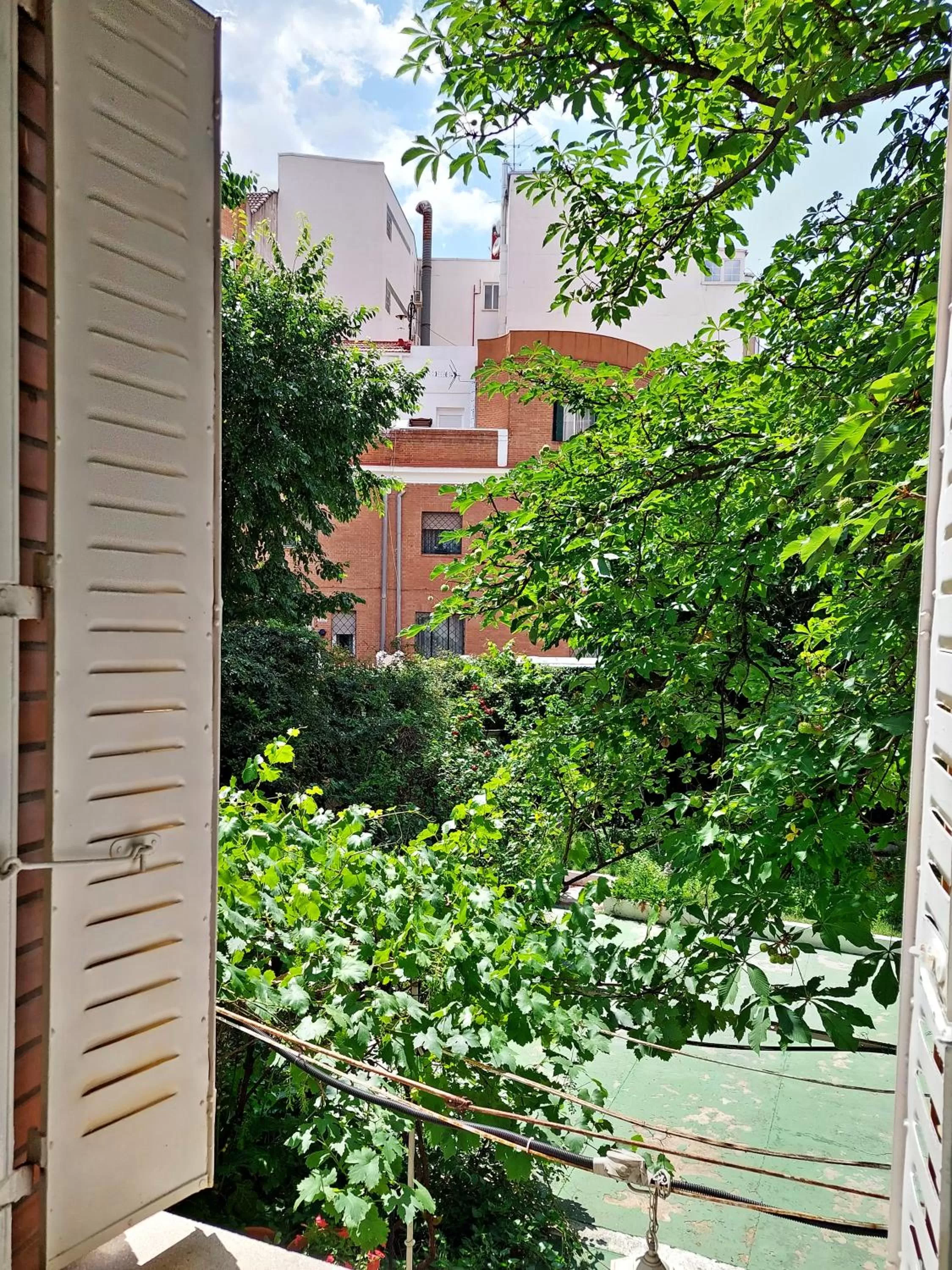 Day in N1 Casa de Madrid - greenpeace line