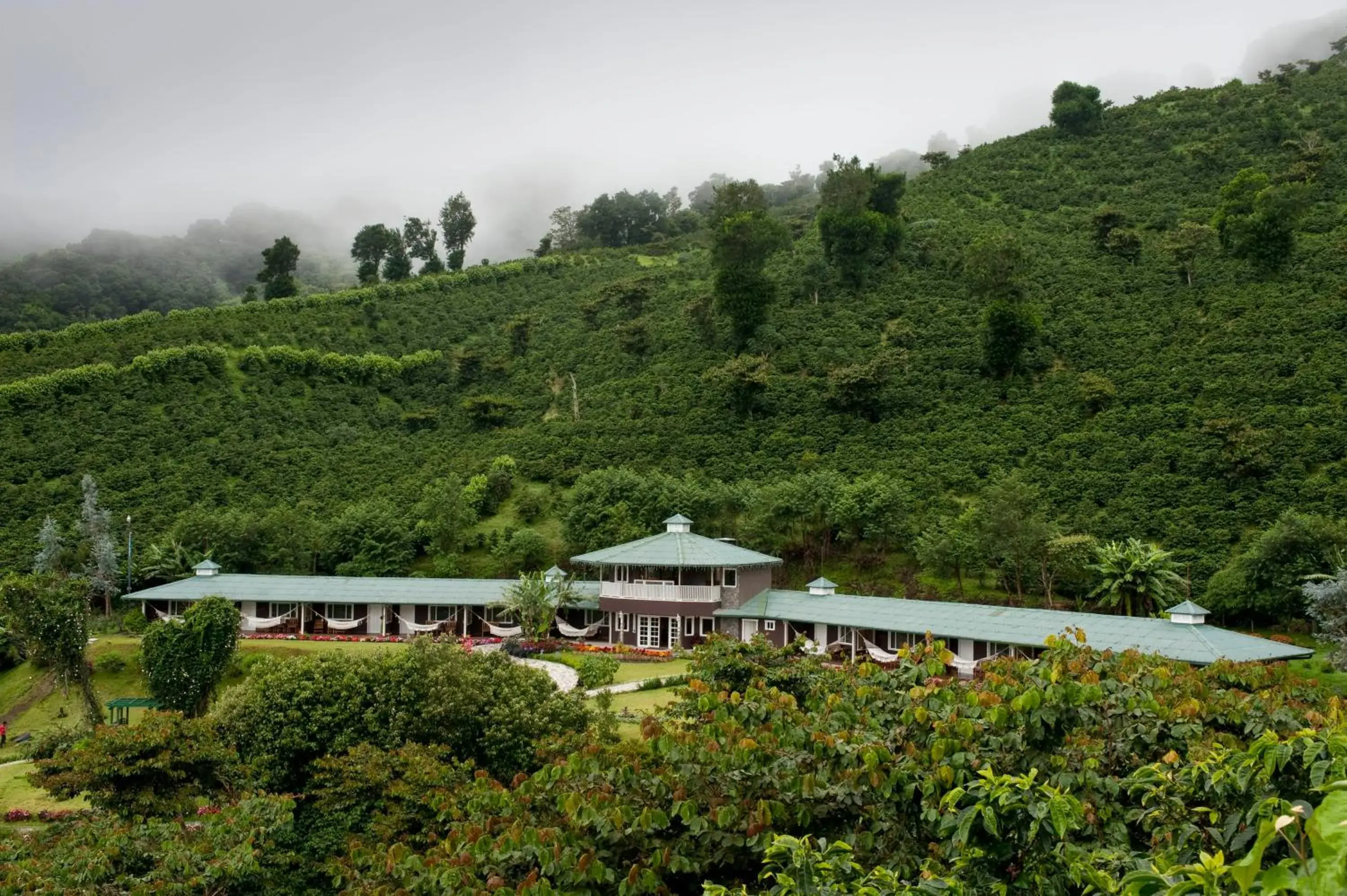 Natural landscape in Hotel Finca Lerida Coffee Plantation and Boutique Hotel