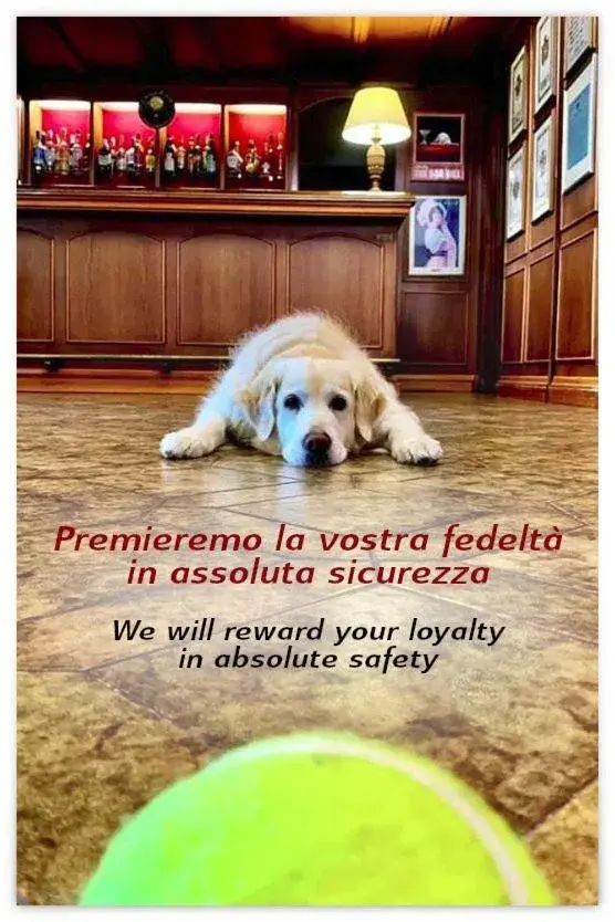 Lobby or reception, Pets in Hotel Città Dei Mille