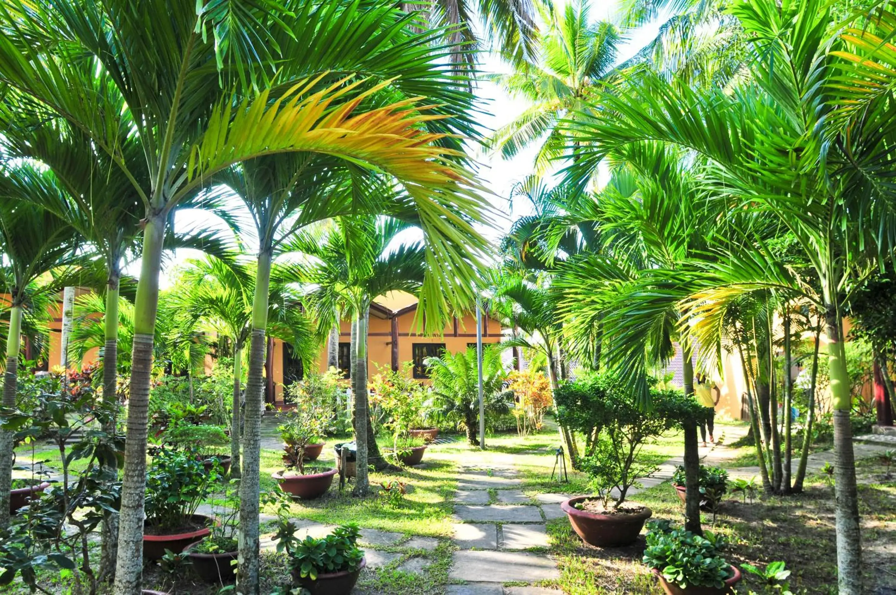 Garden in Sea Star Resort