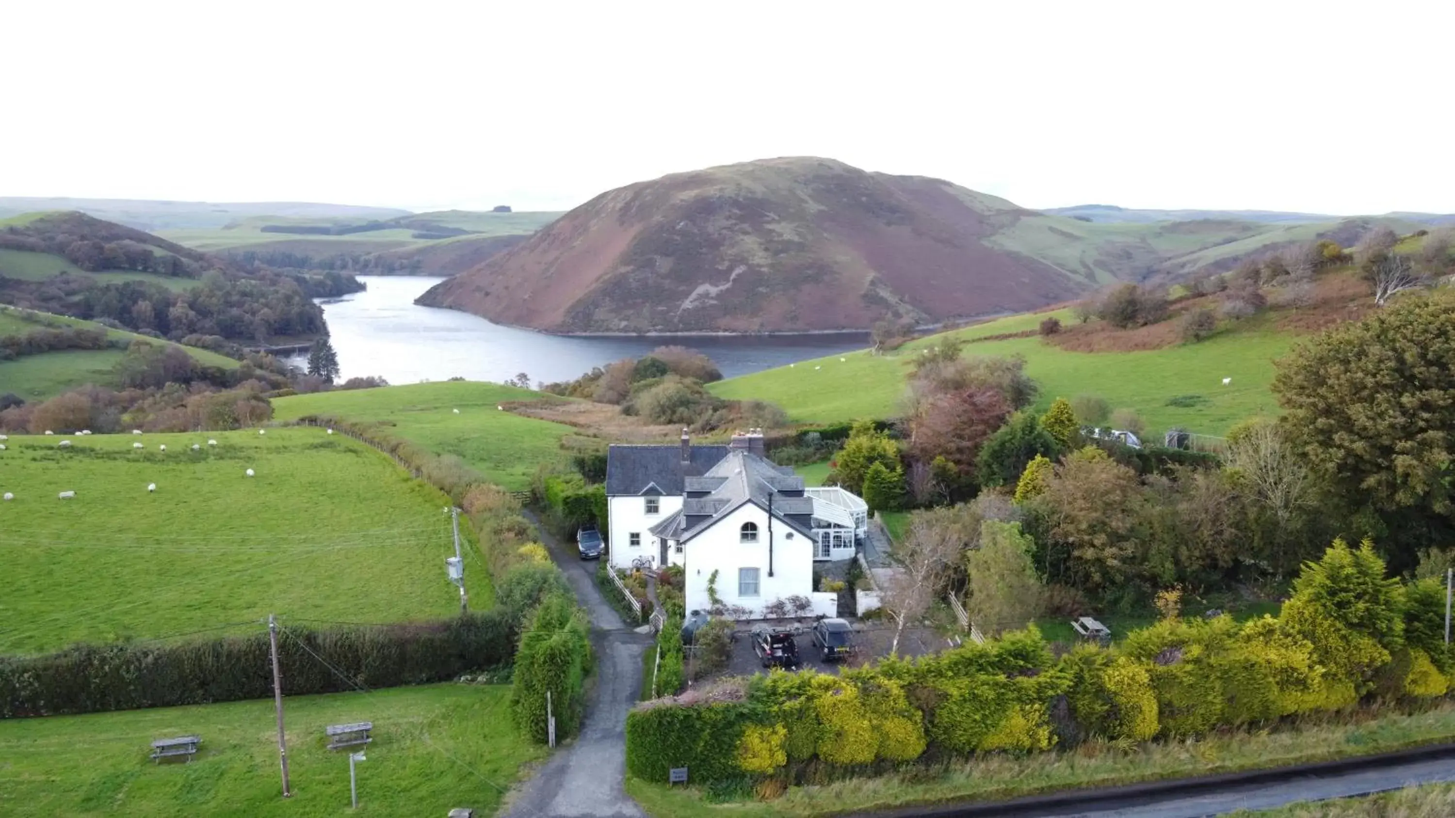 Bird's-eye View in Ty Capel