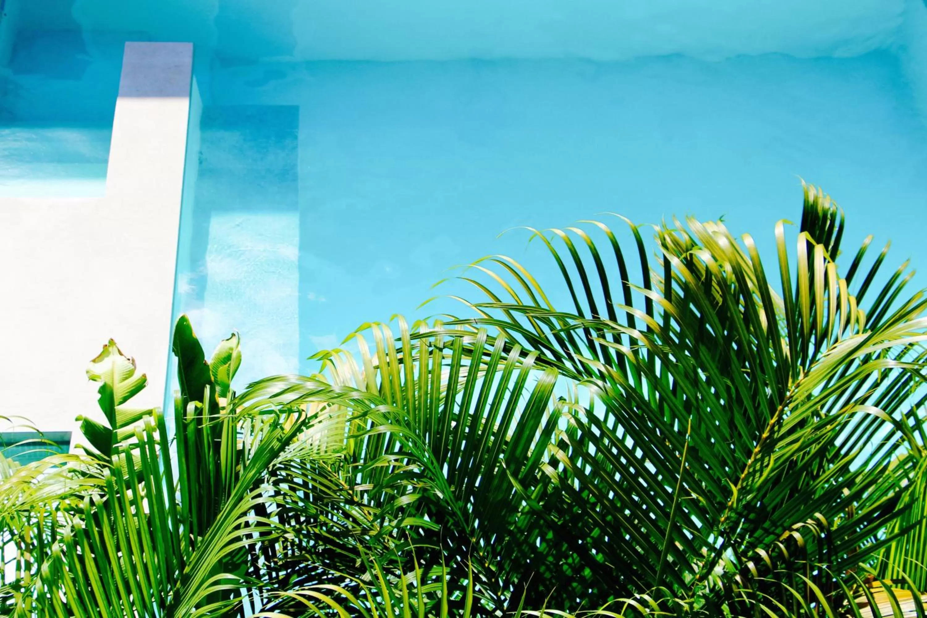 Swimming pool in The Diplomat Boutique Hotel