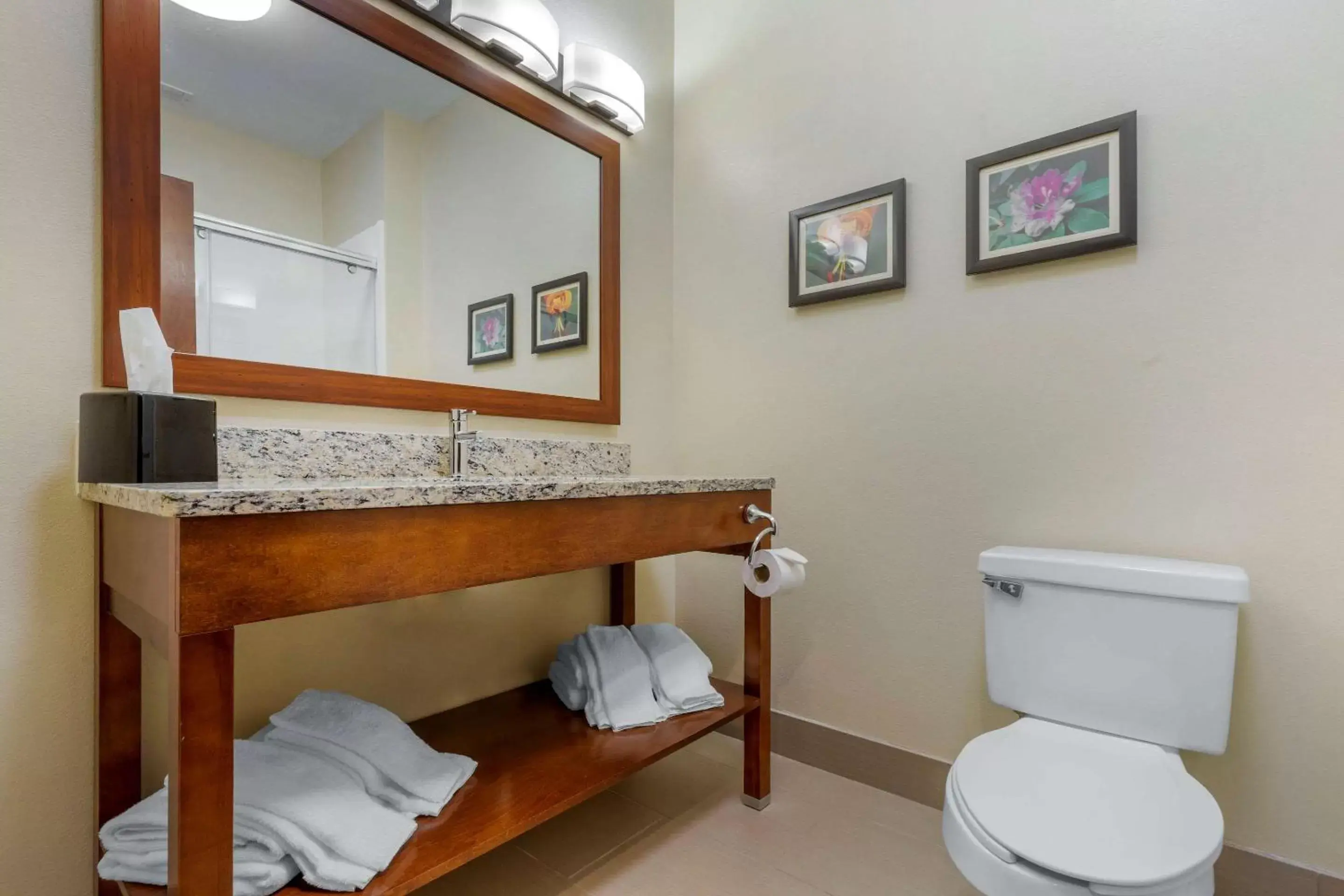 Photo of the whole room, Bathroom in Comfort Inn & Suites Lenoir Hwy 321 Northern Foothills