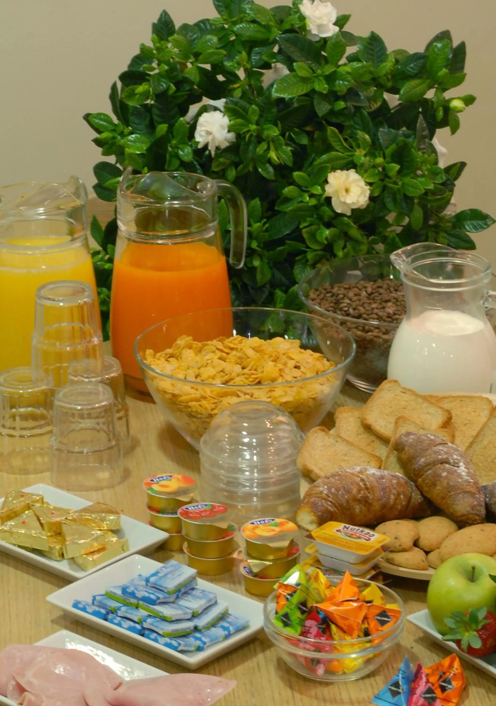 Italian breakfast in Hotel Touring