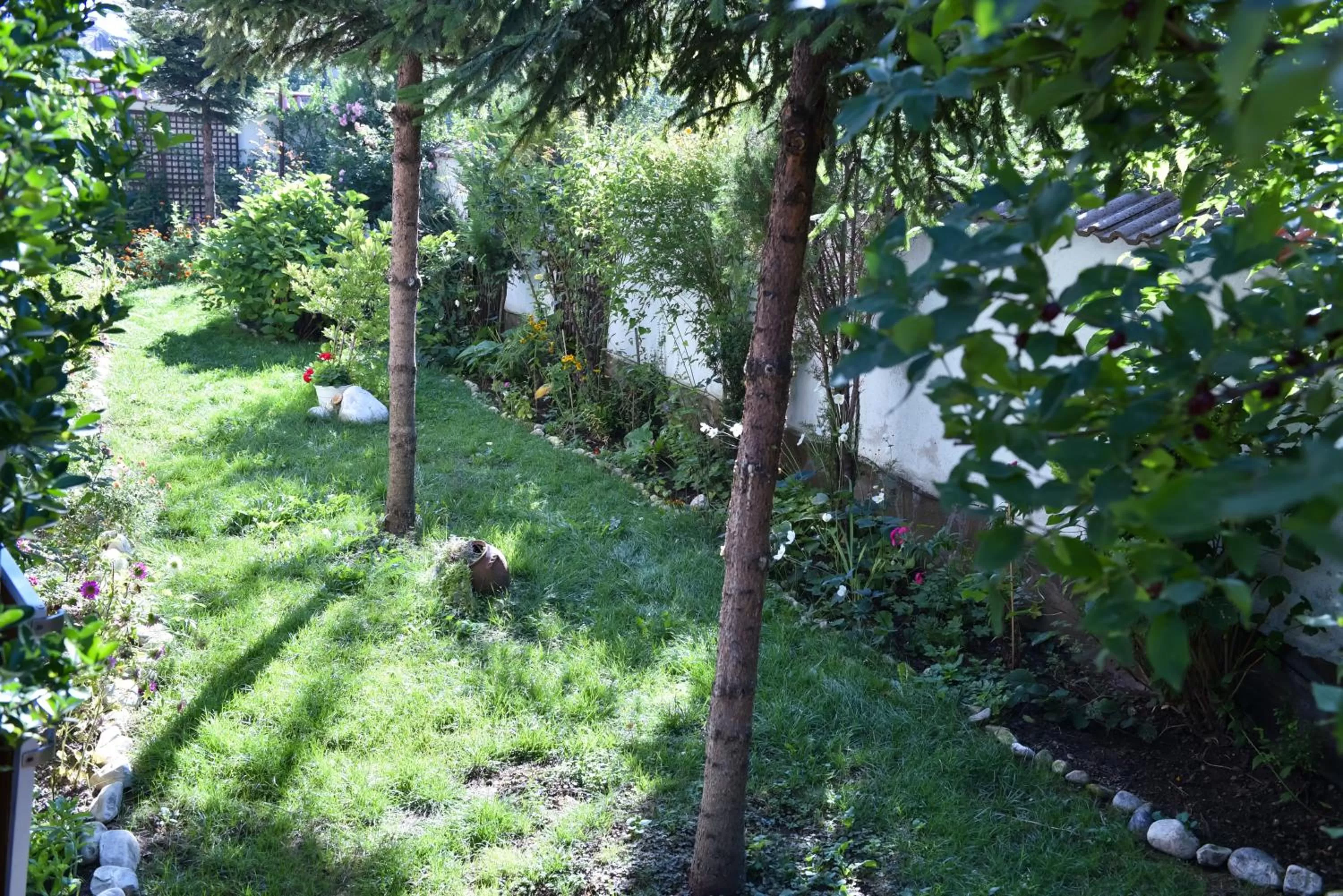 Garden in Martin Club Hotel