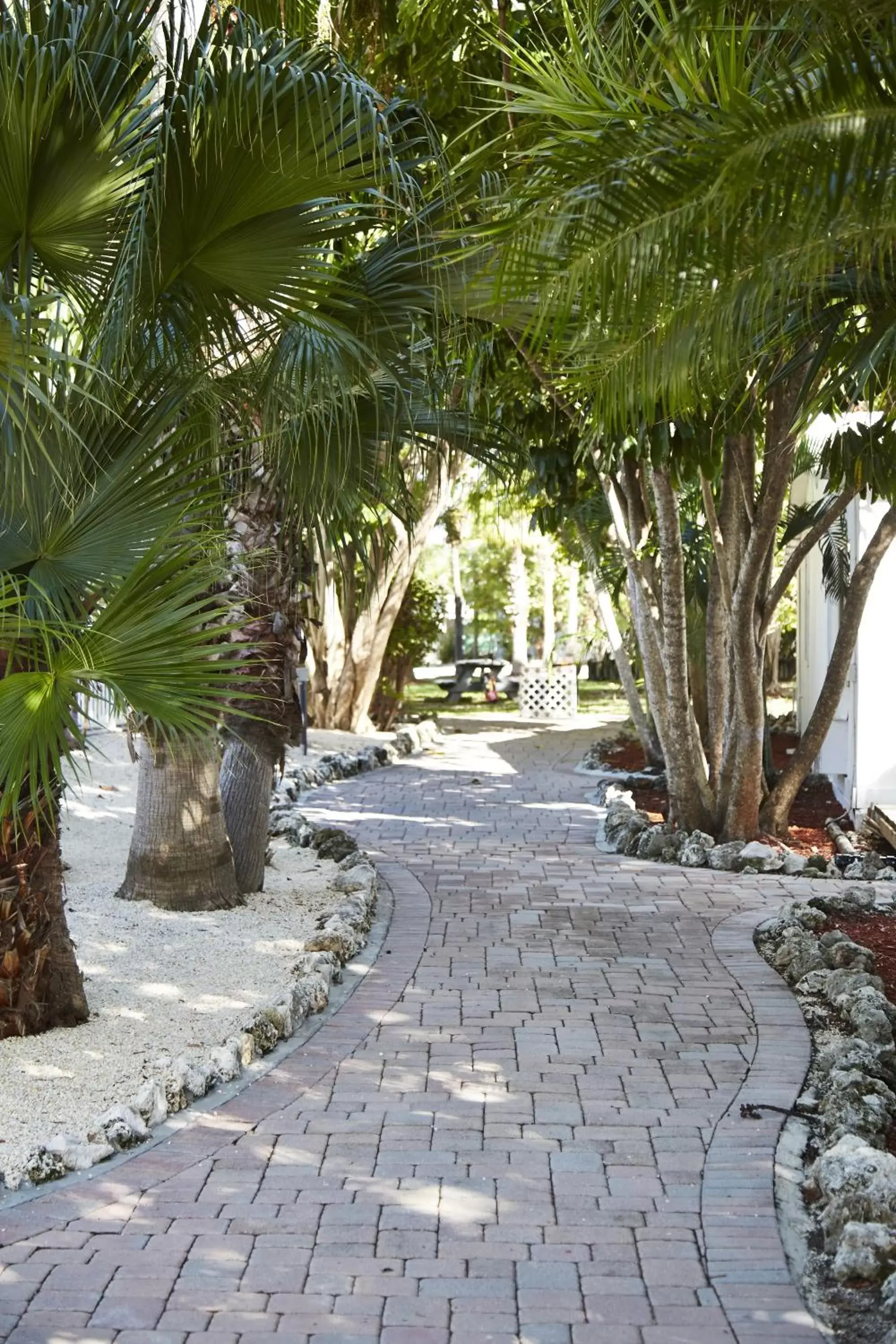 Natural landscape in Atlantic Bay Resort