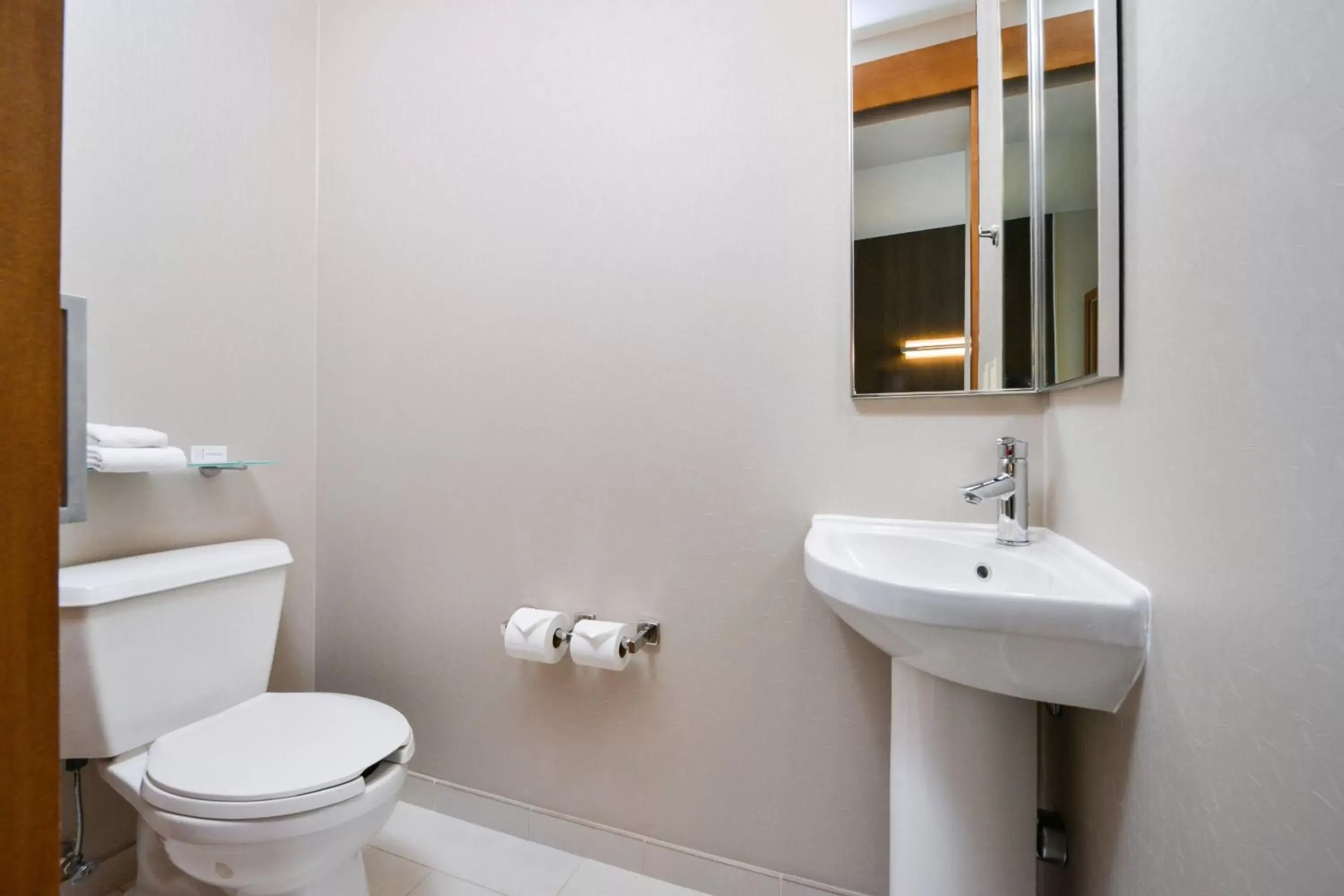 Bathroom in SpringHill Suites Ashburn Dulles North