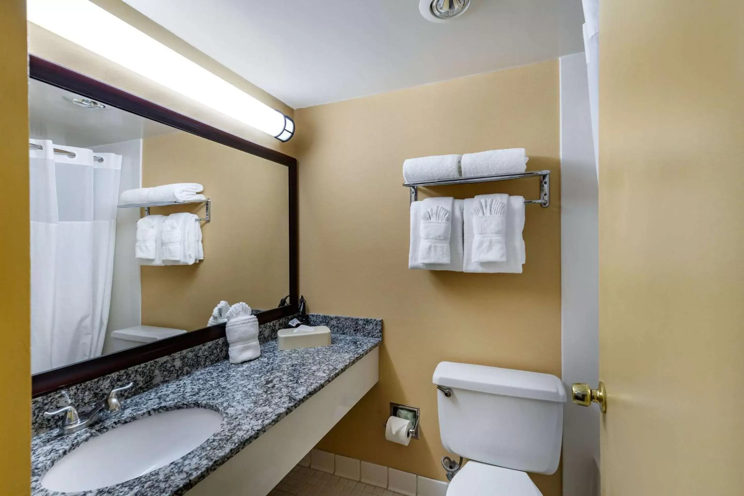 Bathroom in Clarion Inn Falls Church- Arlington