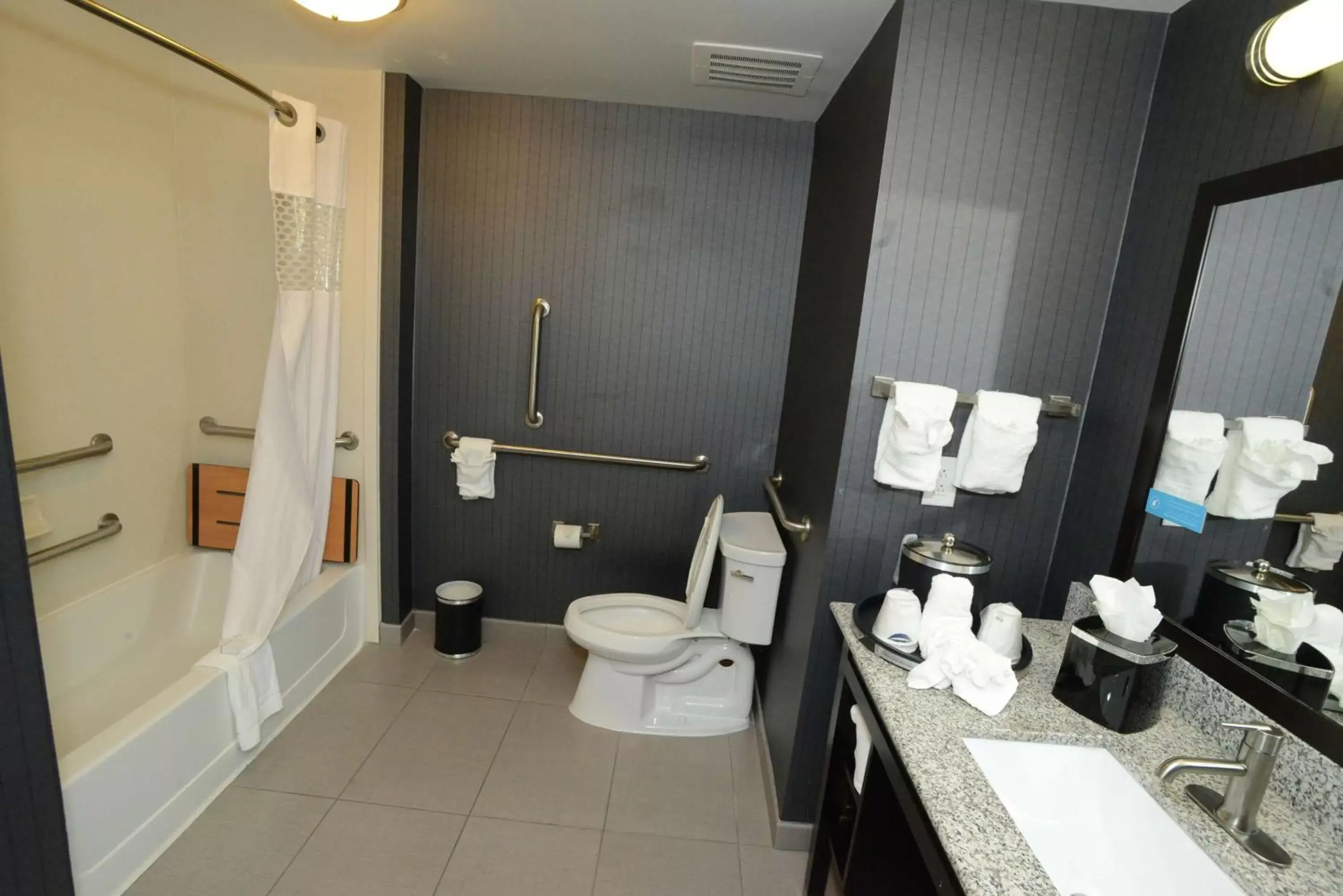 Bathroom in Hampton Inn & Suites Albany at Albany Mall