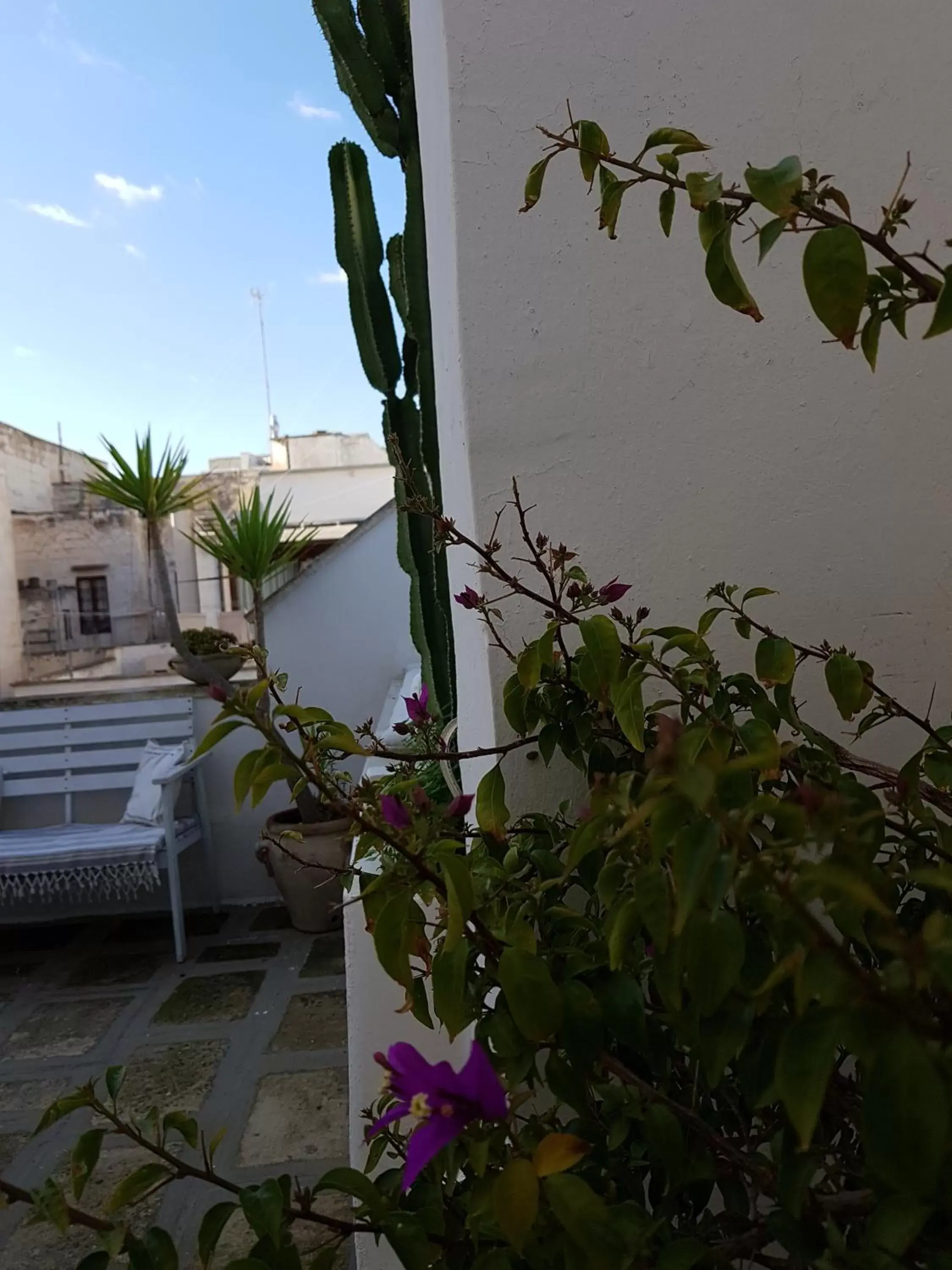 Balcony/Terrace in Corte Moline