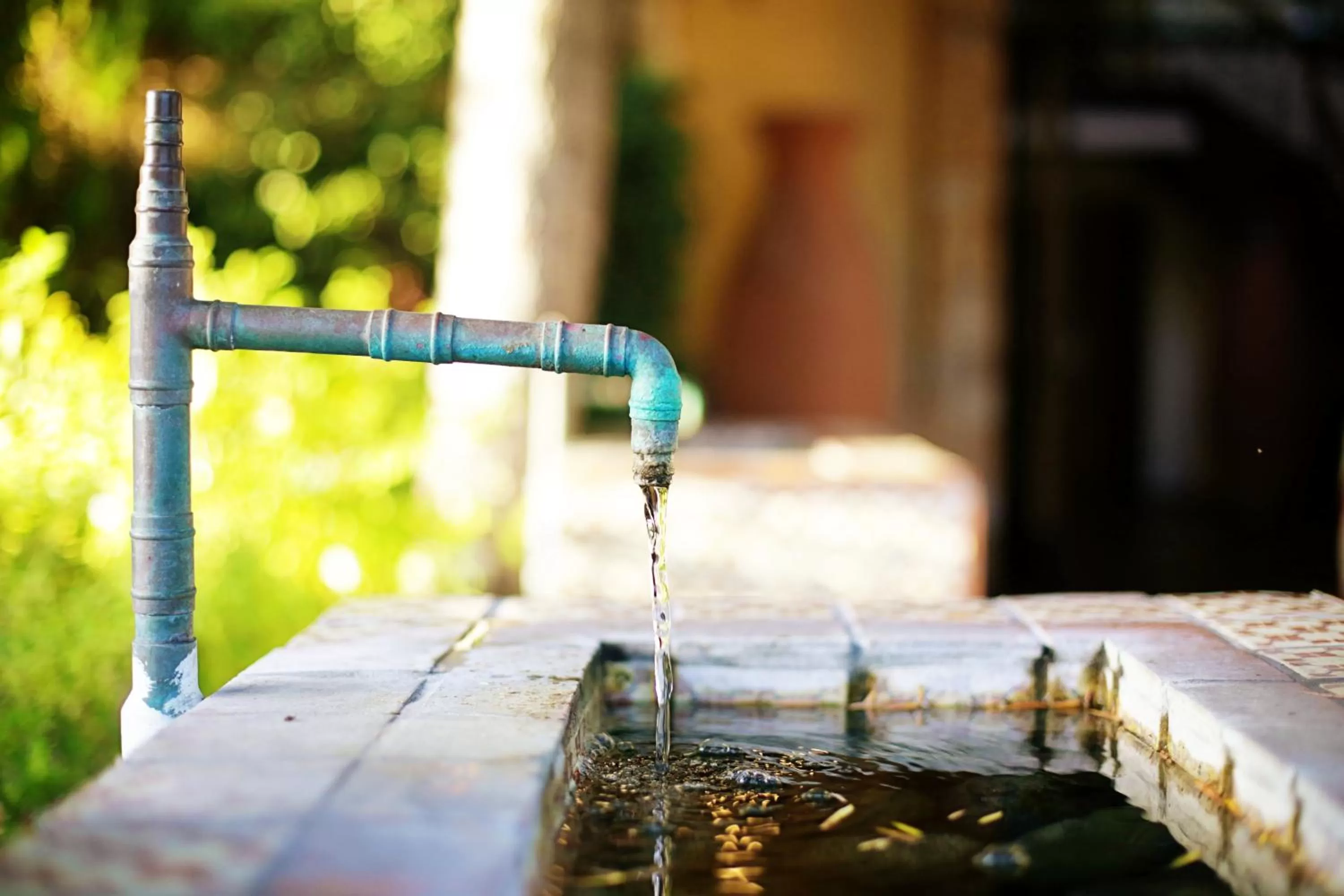 Area and facilities in Hotel Pepper Tree Boutique Kitchen Studios - Anaheim