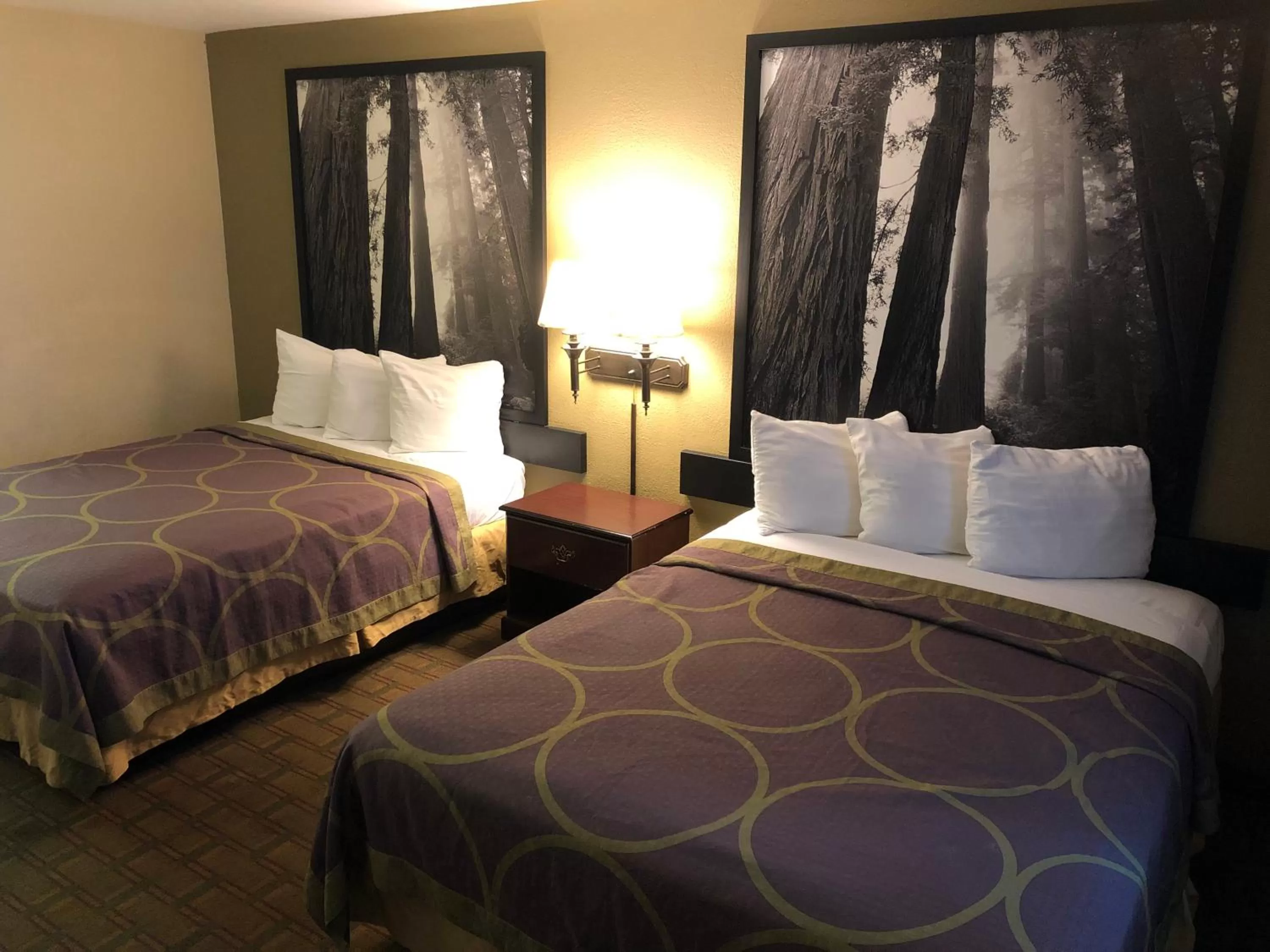 Bed in Super 8 by Wyndham Corning